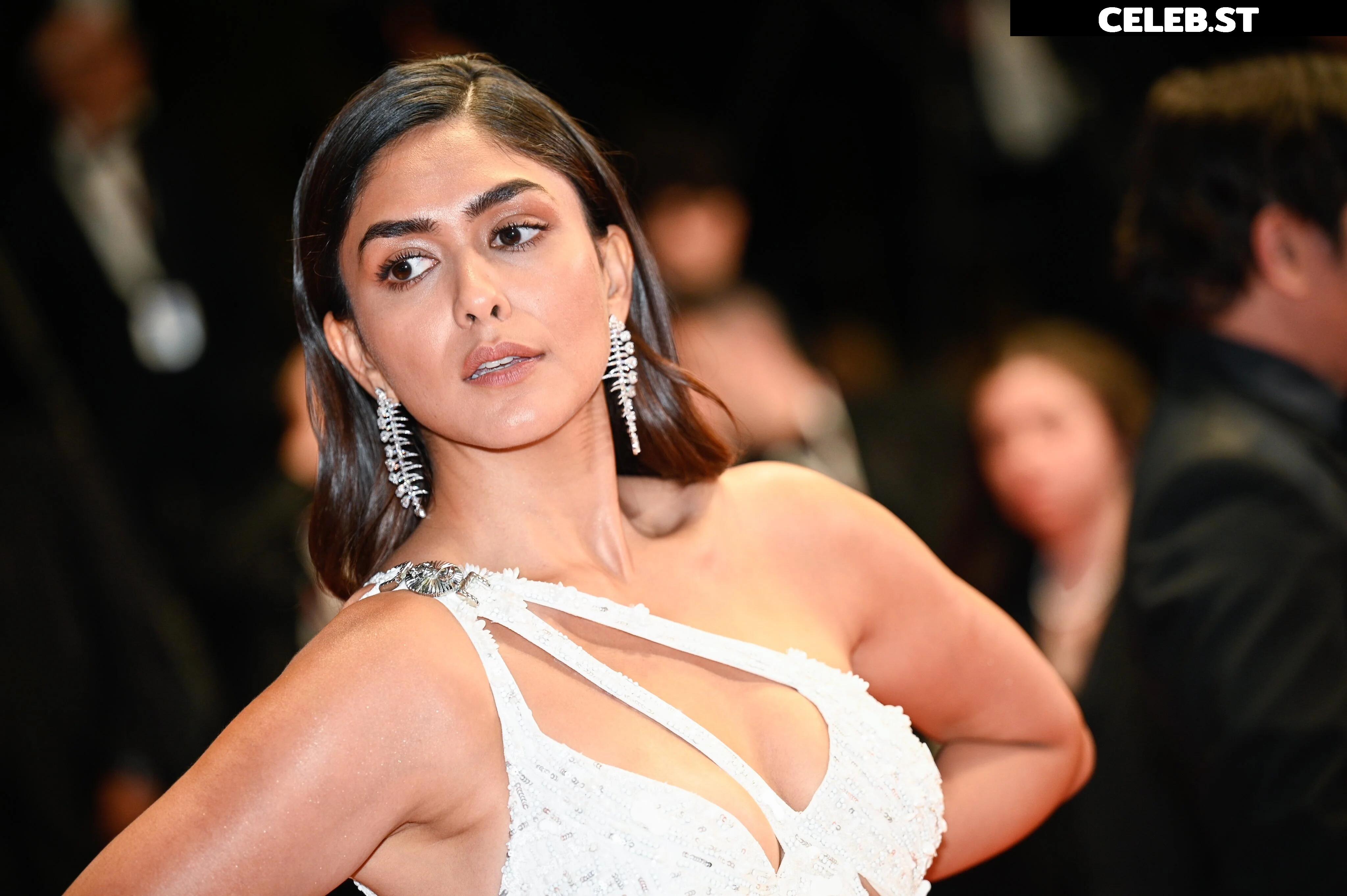 Mrunal Thakur Image 4398173