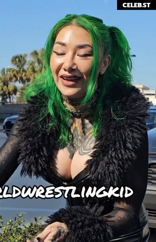 WWE Shotzi / Shotzi Blackheart Image 4385901