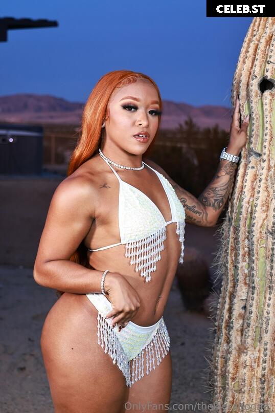 Kiera Hogan (AEW Wrestling) Image 4386507