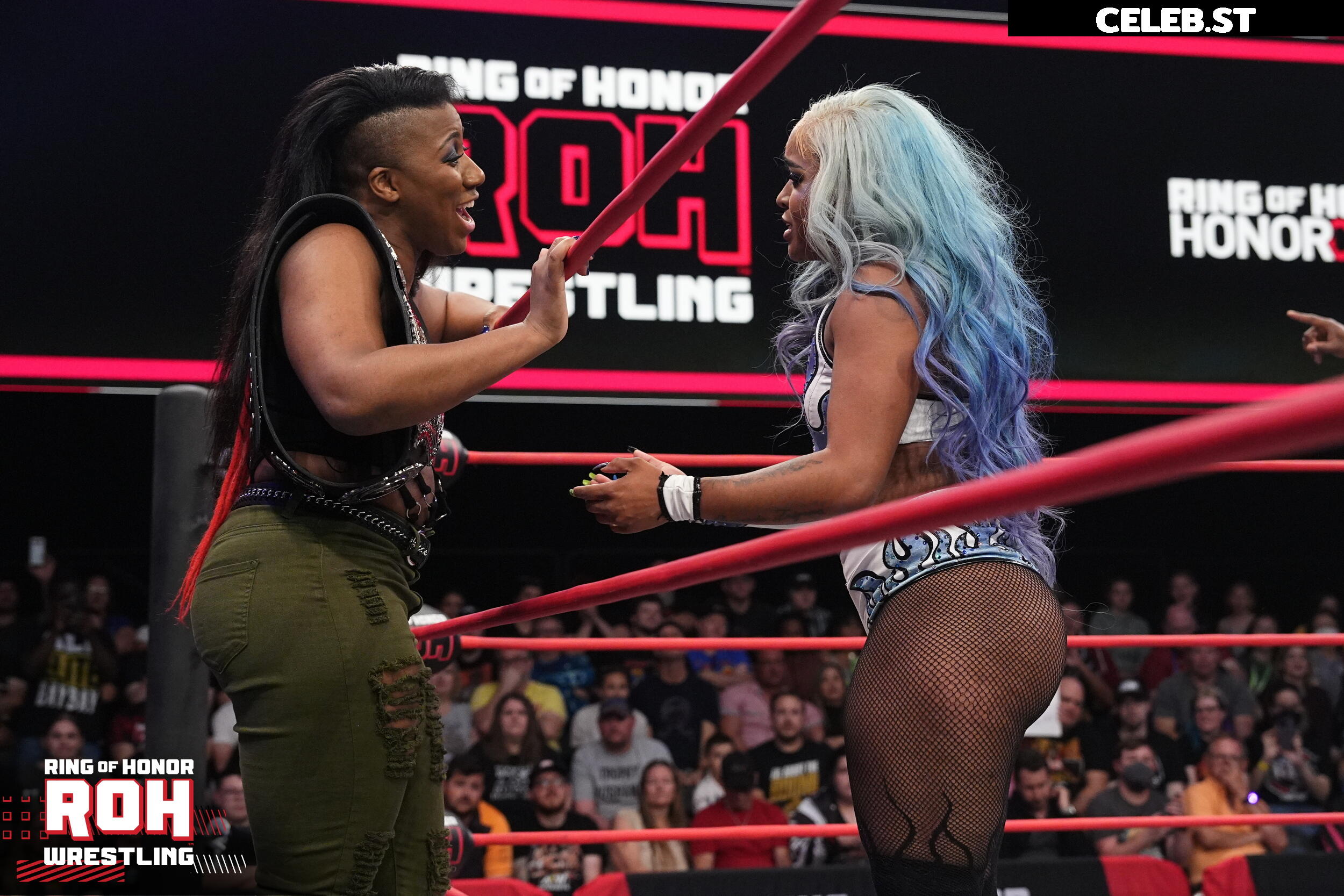 Kiera Hogan (AEW Wrestling) Image 4384481