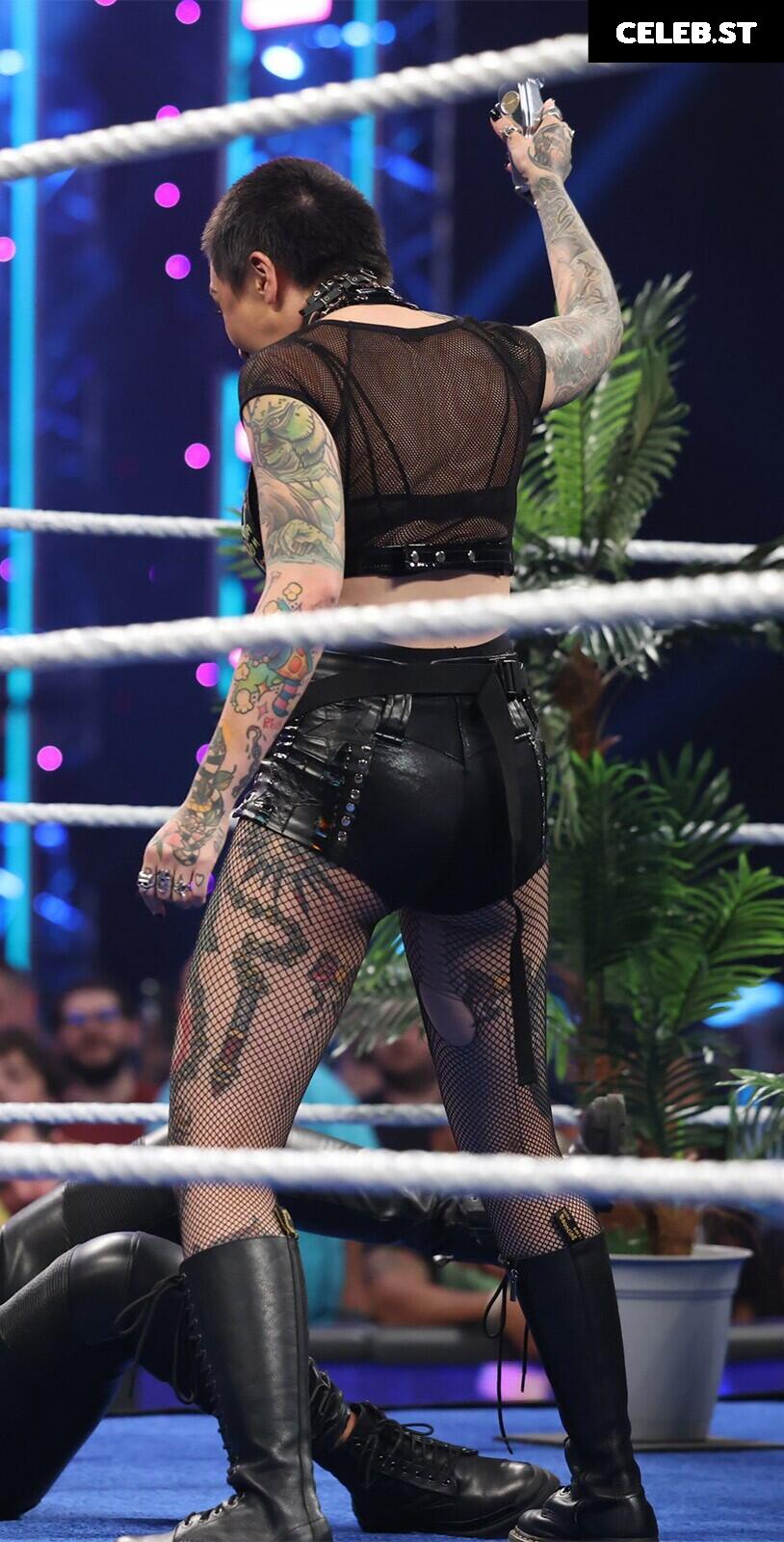 WWE Shotzi / Shotzi Blackheart Image 4381258