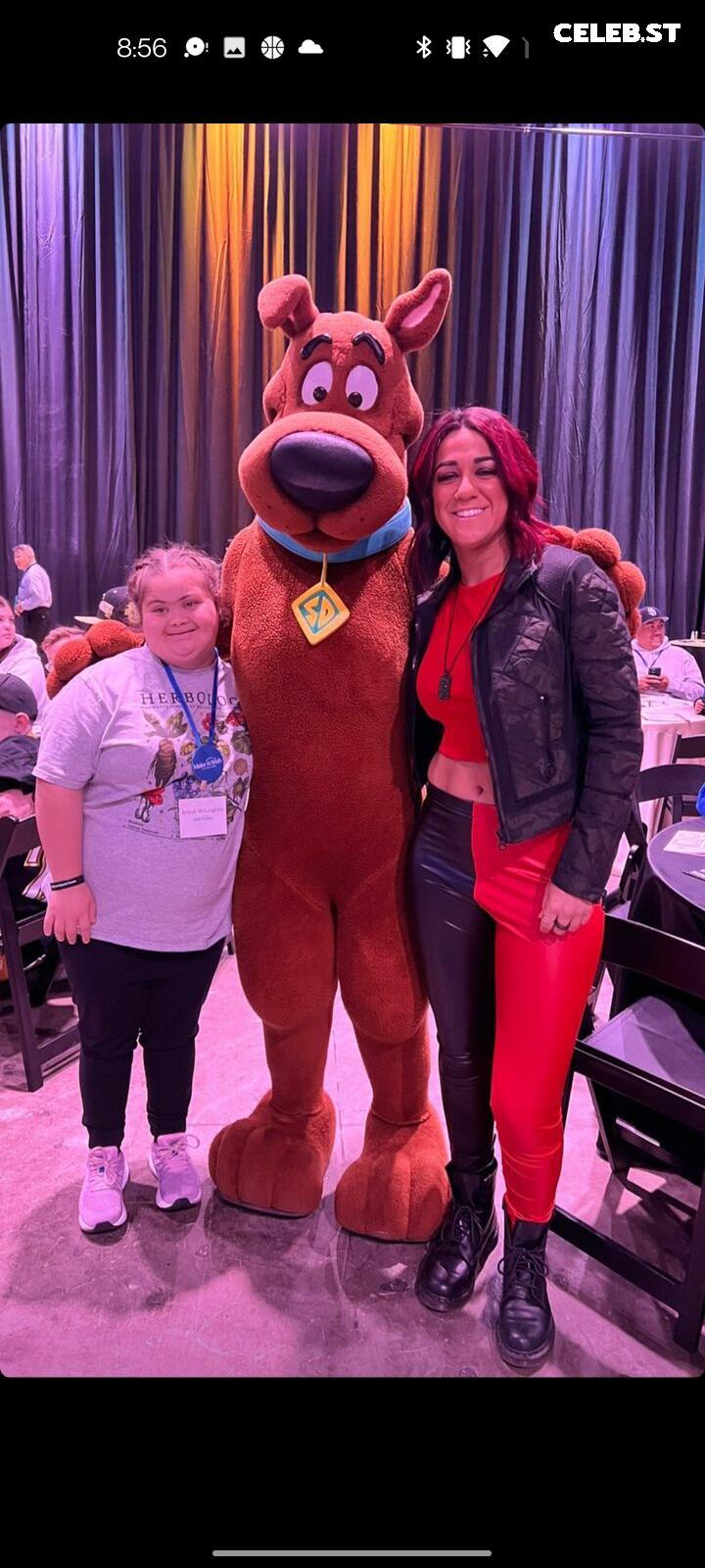 WWE Bayley / Davina Rose / Pamela Rose Martinez Image 4383597