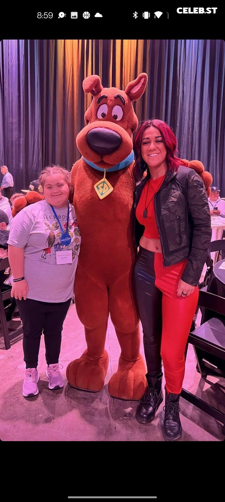 WWE Bayley / Davina Rose / Pamela Rose Martinez Image 4383326