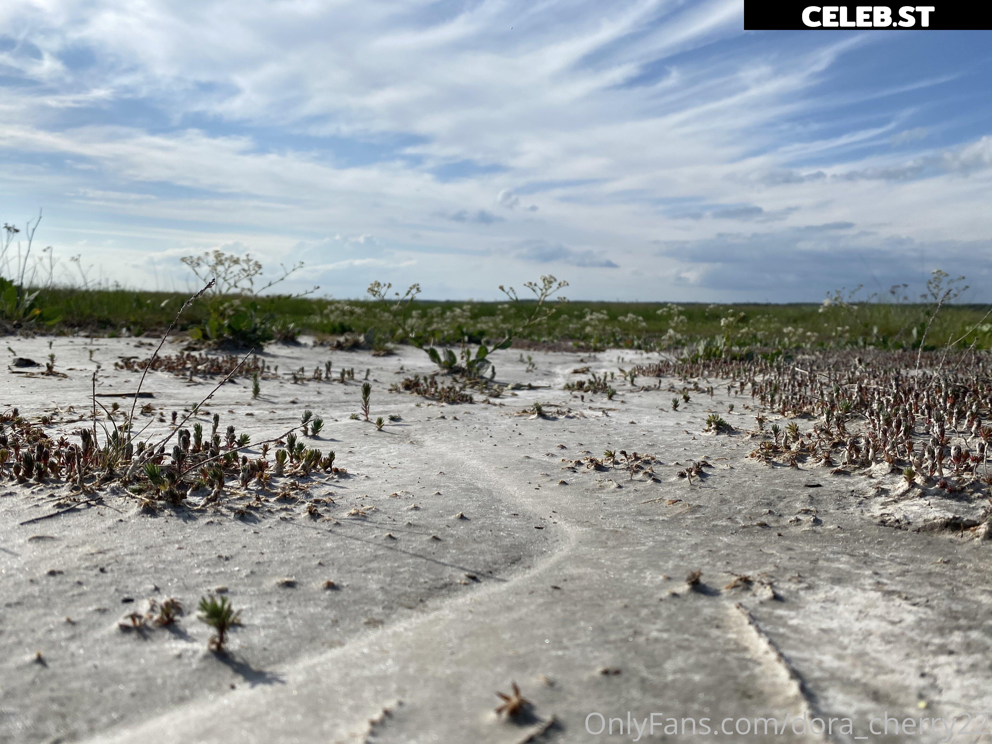 dorasexplorer / Darsy Image 438098