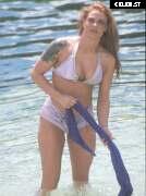 Women of Professional Wrestling Image 4388287