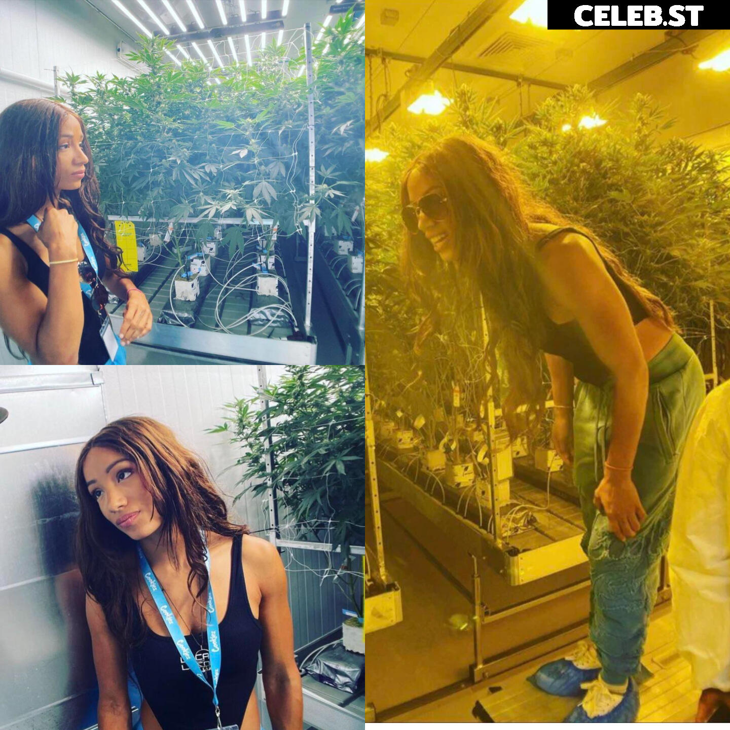 WWE Sasha Banks | Mercedes Moné Image 4366789