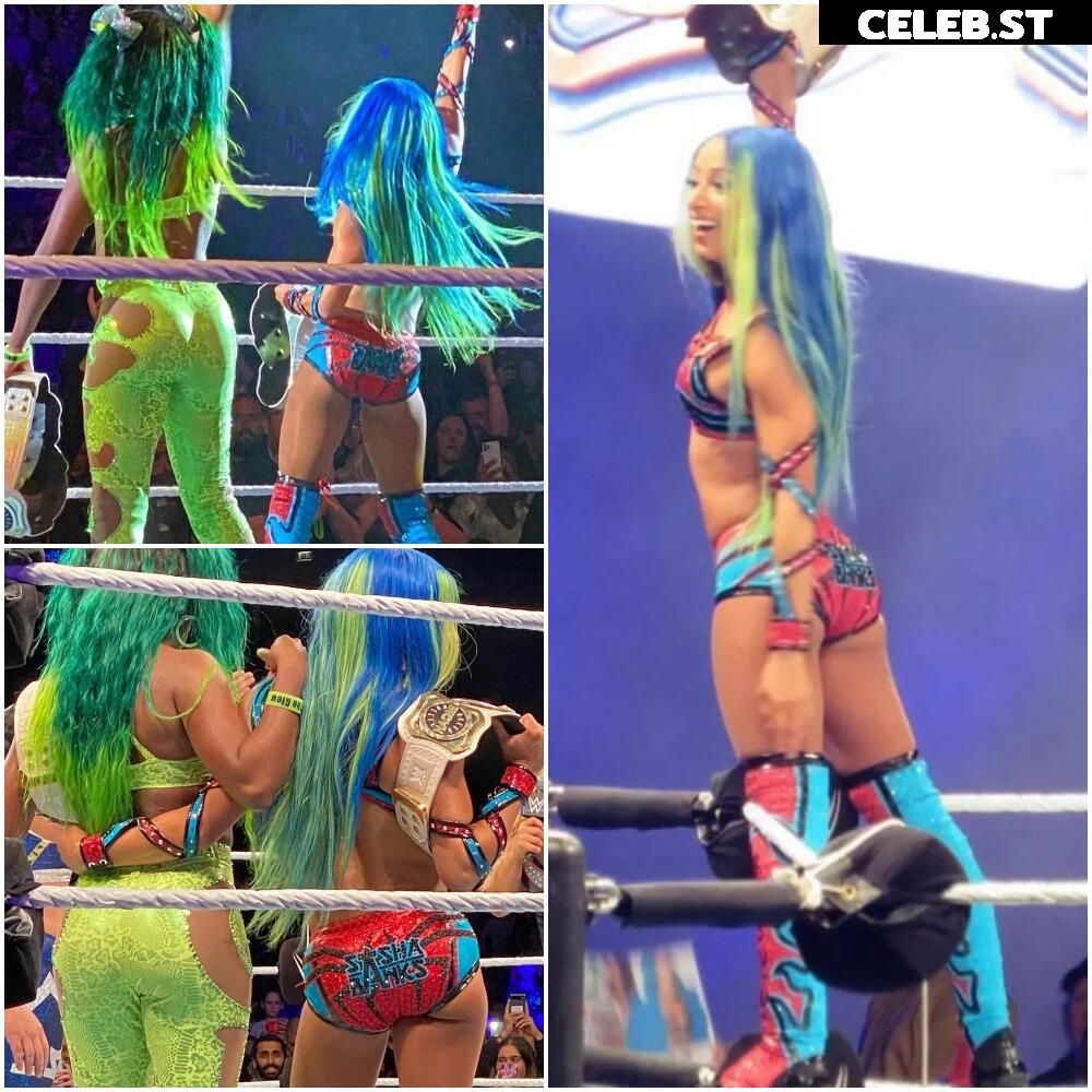 WWE Sasha Banks | Mercedes Moné Image 4364301