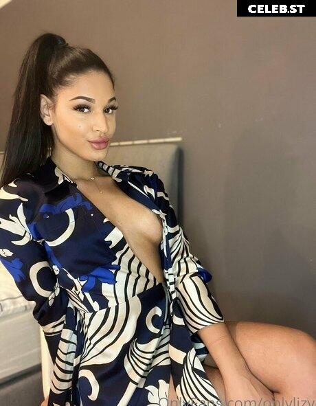 Brownielizy Image 436925