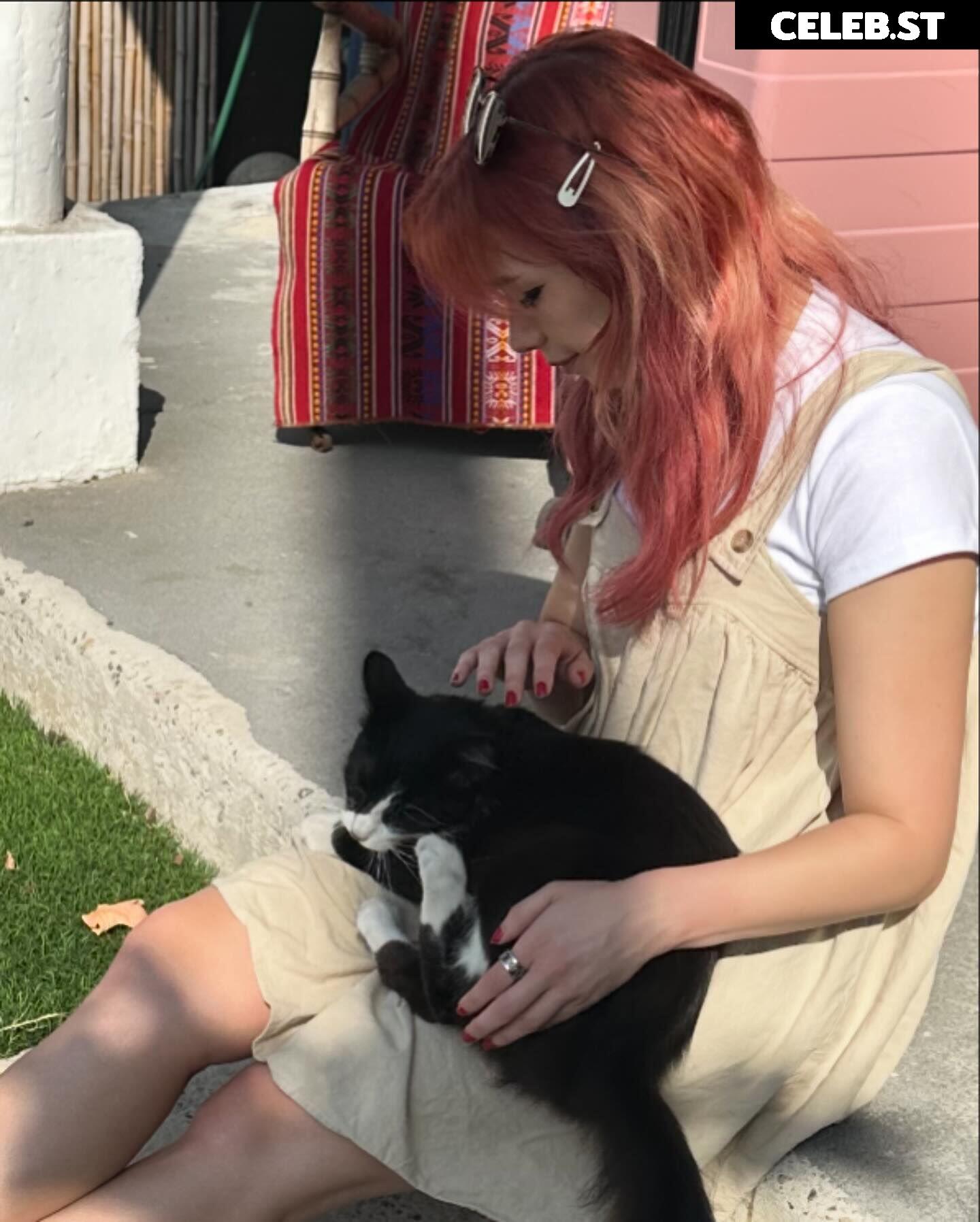 Shubble Image 4354109