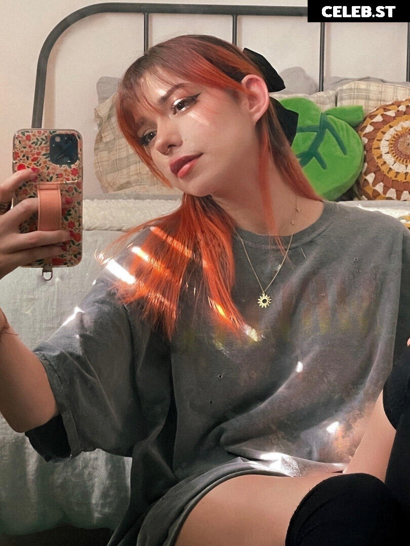 Shubble Image 4351625