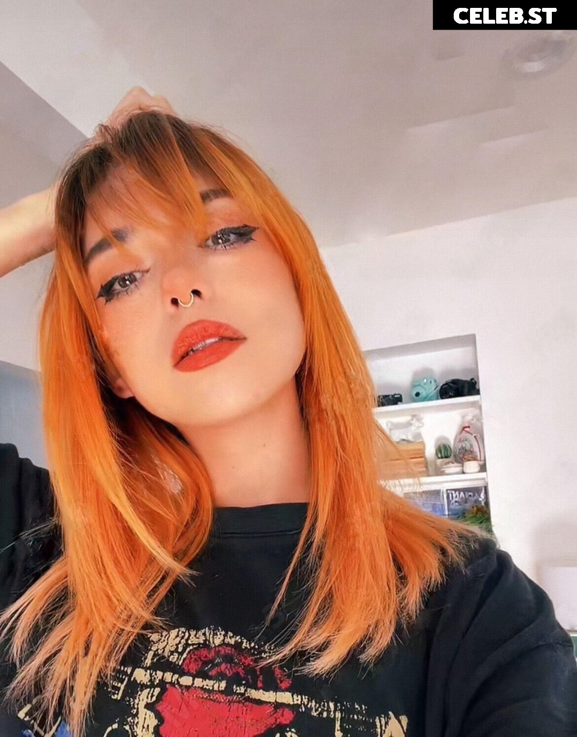 Shubble Image 4351054