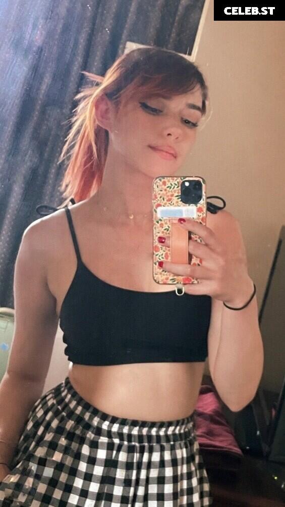 Shubble Image 4352070