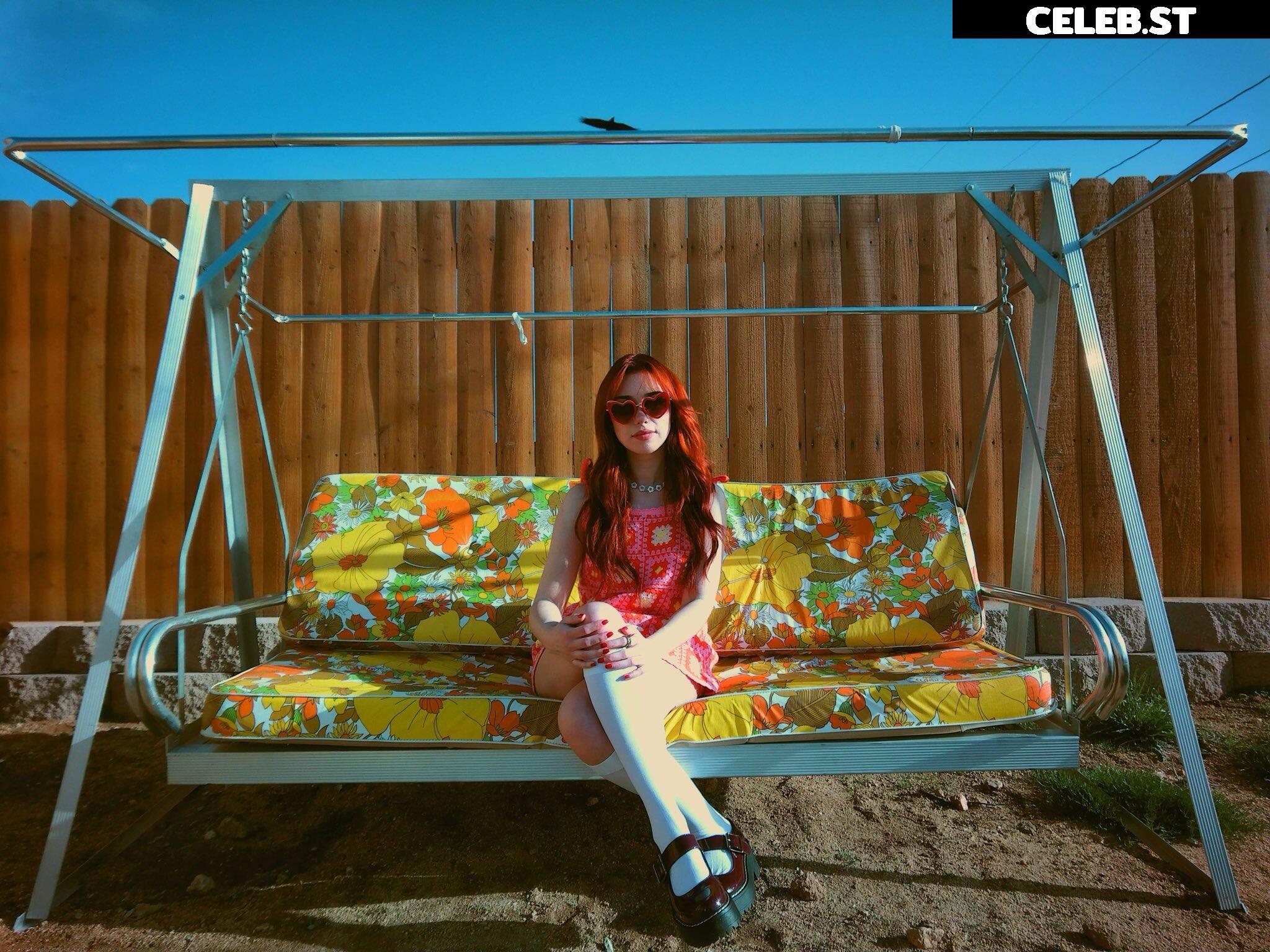 Shubble Image 4353163