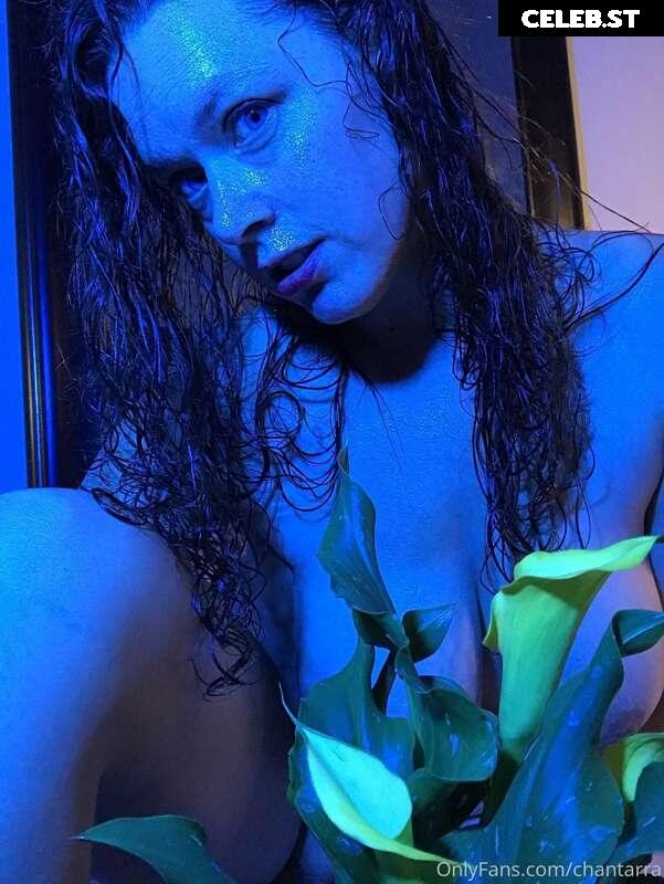 Chantarra Image 434536