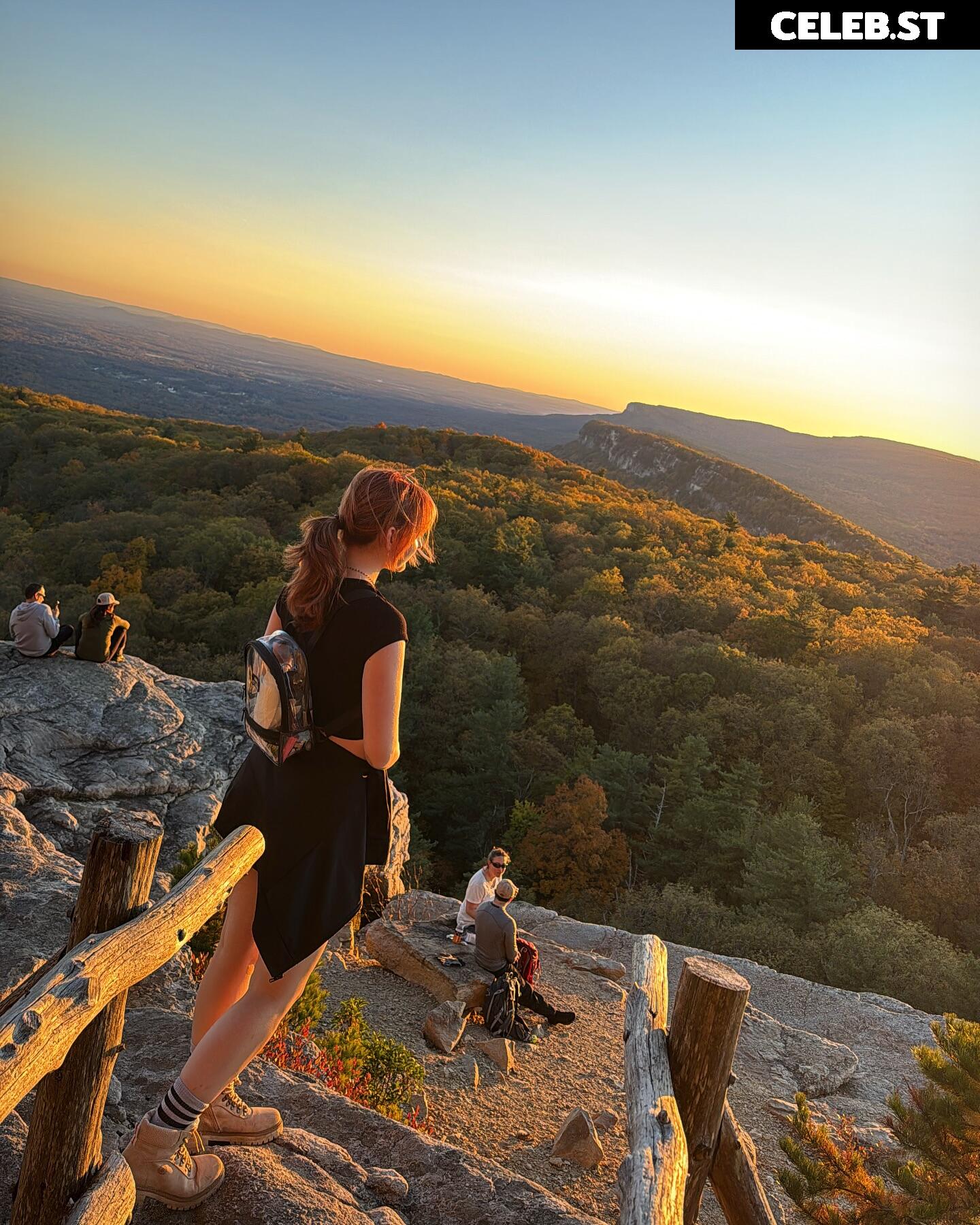 Vkunia Image 4340237