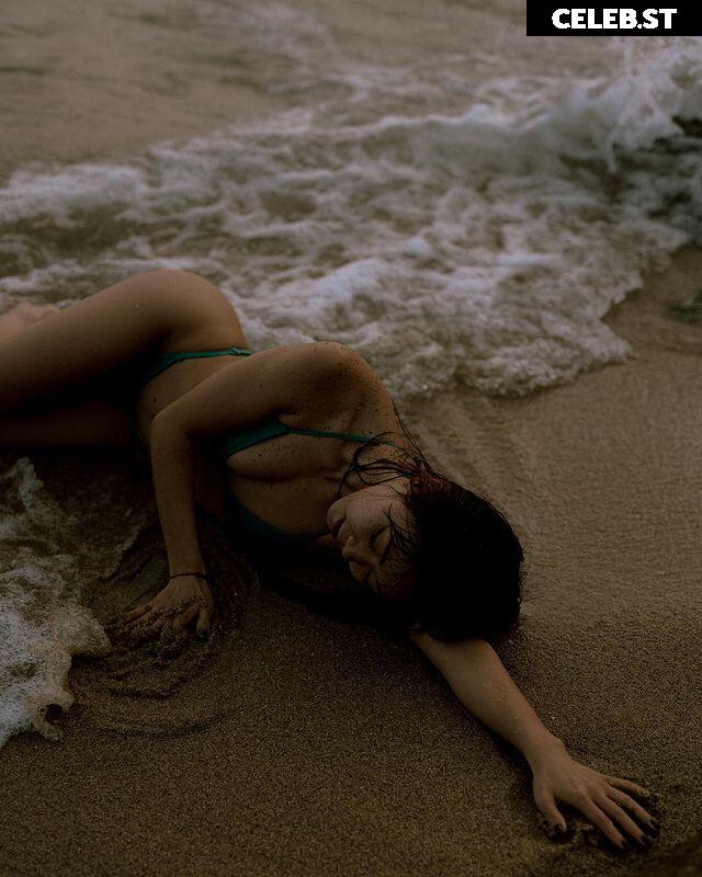 Panterochka Image 4349089