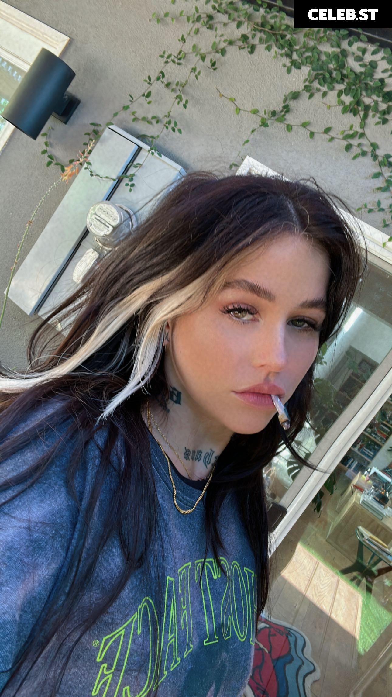 Cray/Craysounds Image 4332811