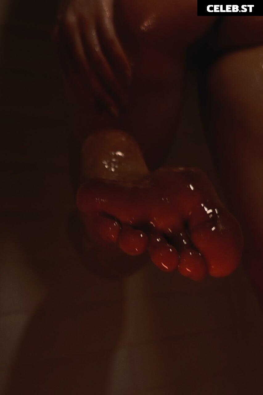 Sorabi Image 4332935