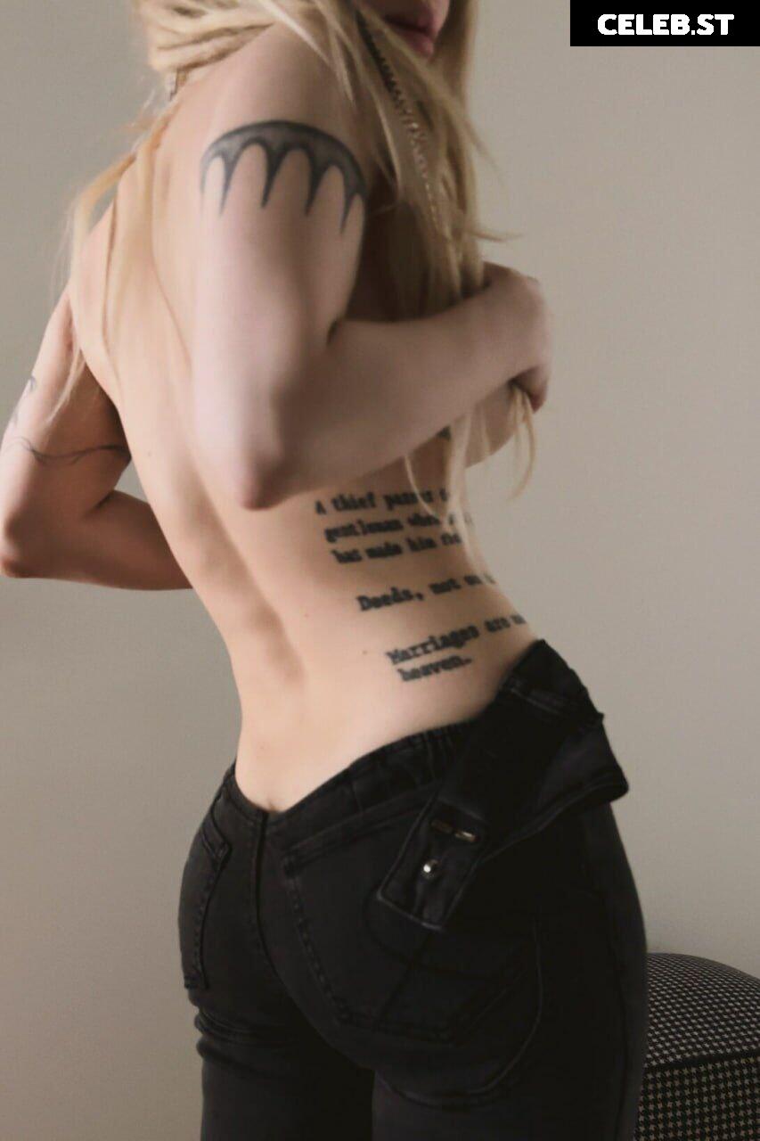 Sorabi Image 4330440