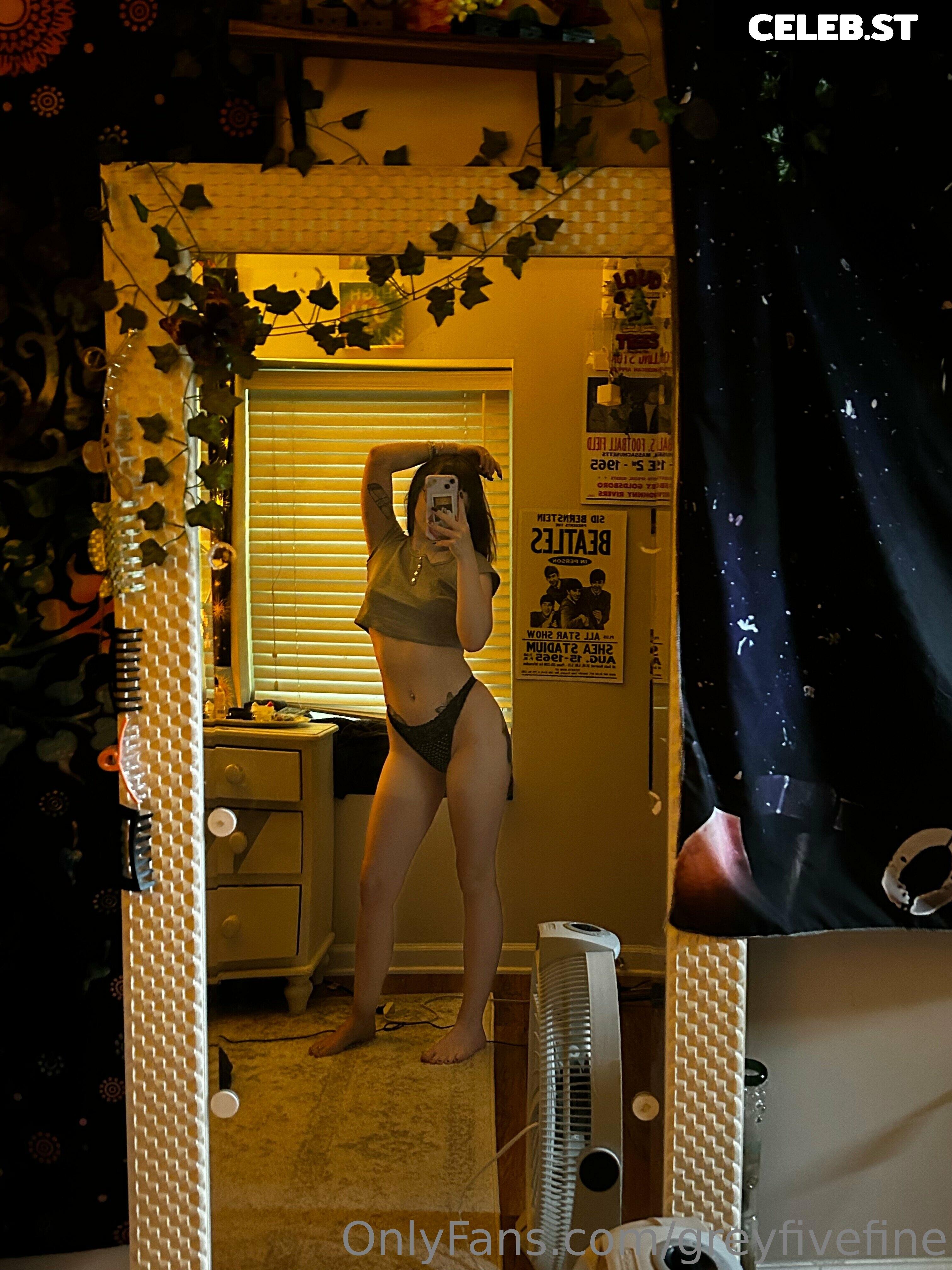 greyfivefine Image 433013