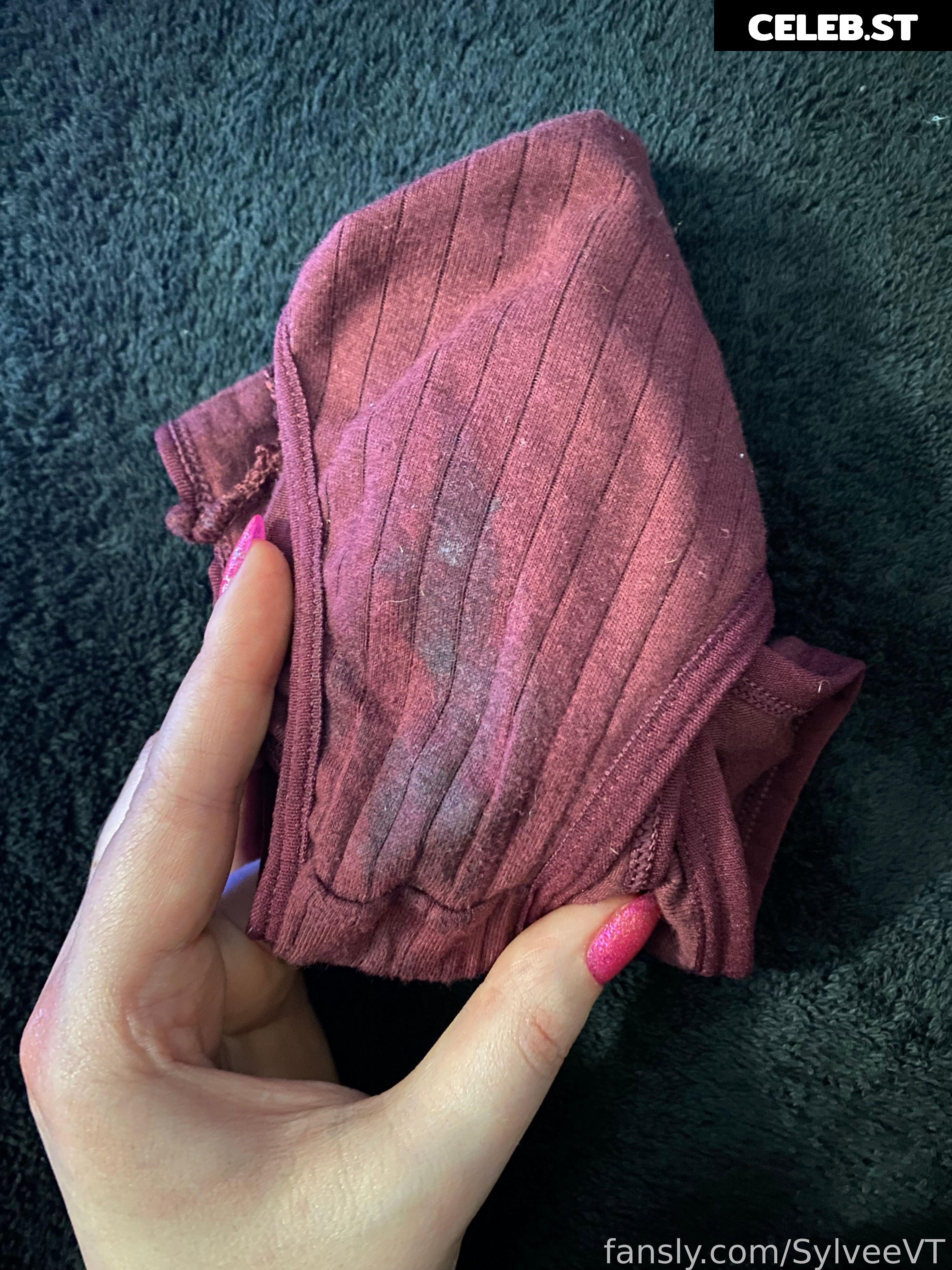 SylveeVT / Sylvee Image 4339936