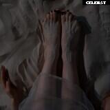 Sorabi Image 4338634