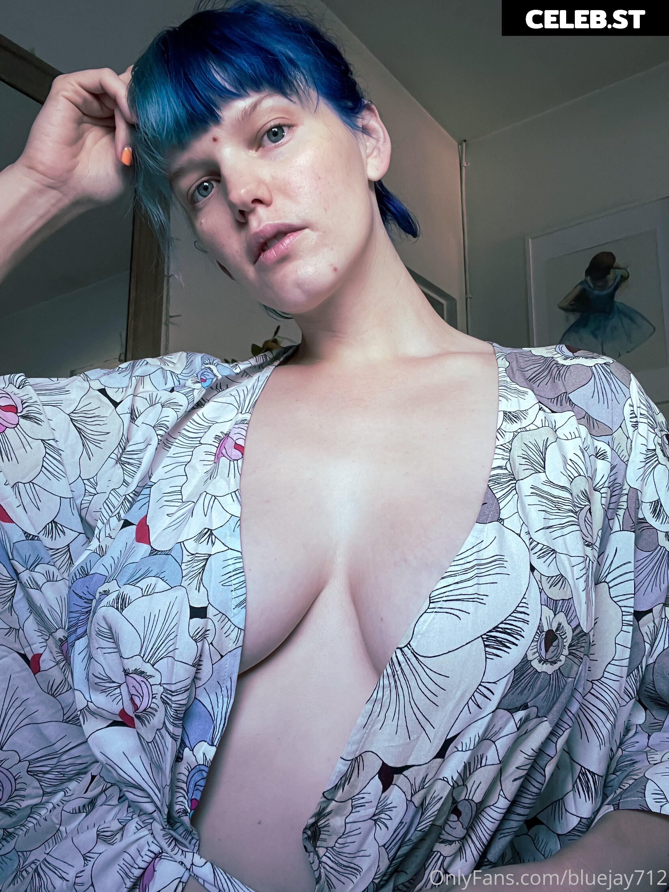 Bluejay Image 4321654