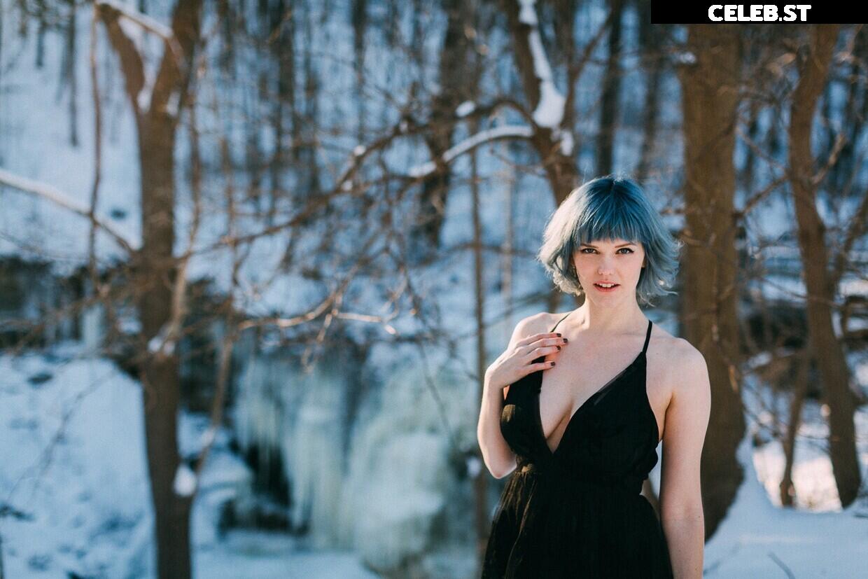 Bluejay Image 4315477