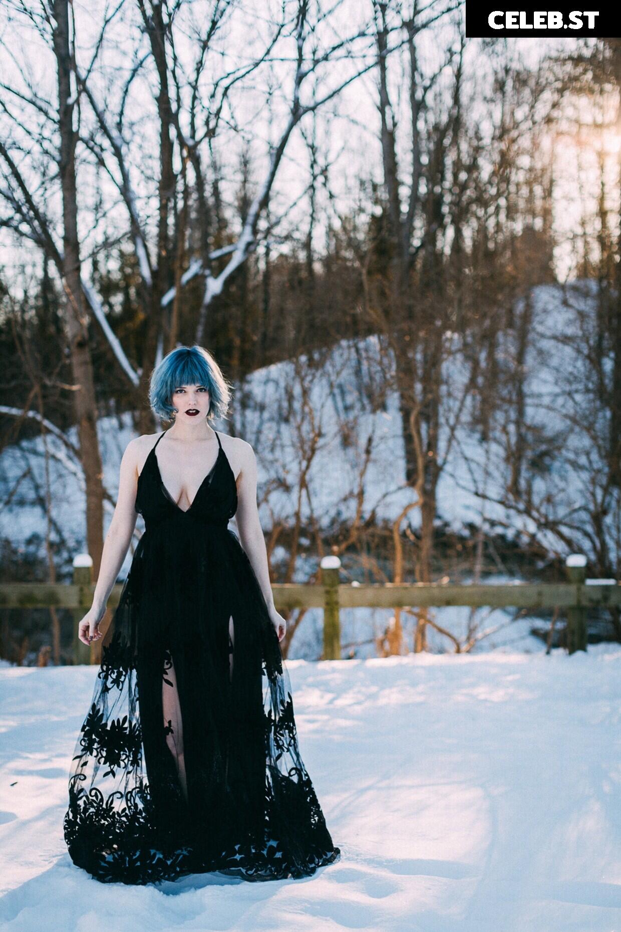 Bluejay Image 4317312