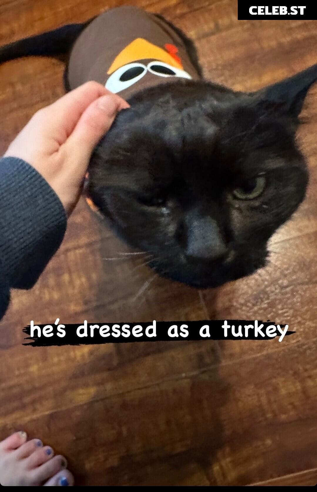 Kaisa / Kaisastreams Image 4317951