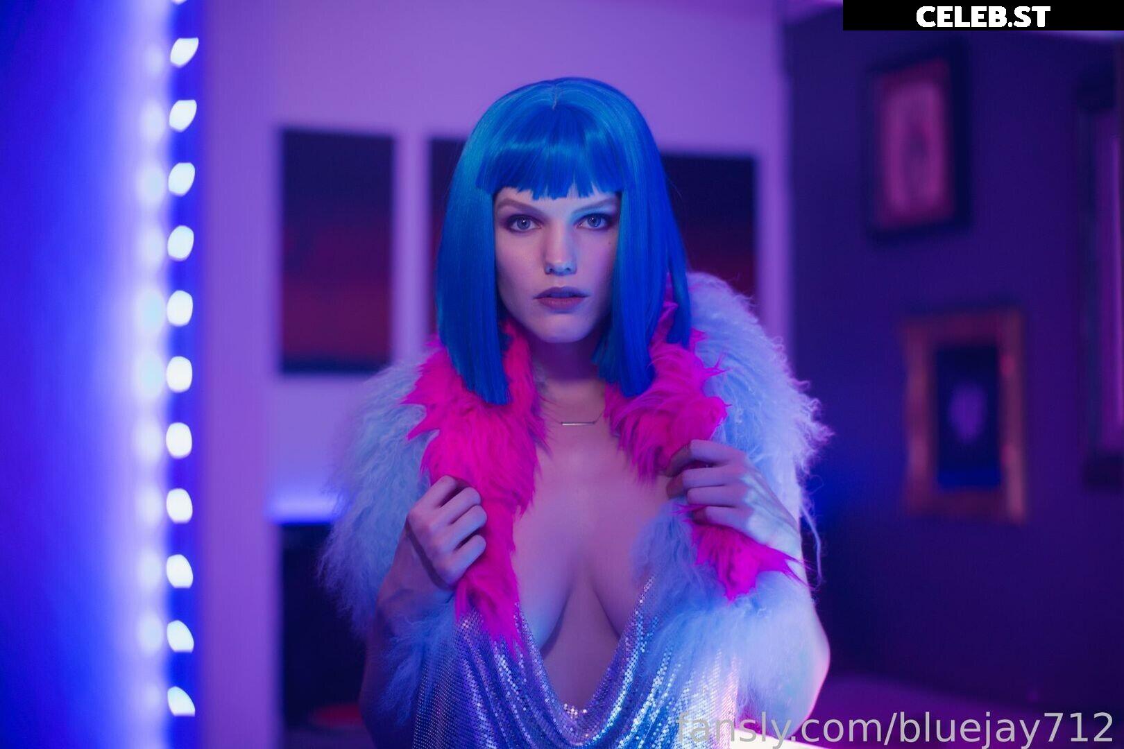 Bluejay Image 4311615