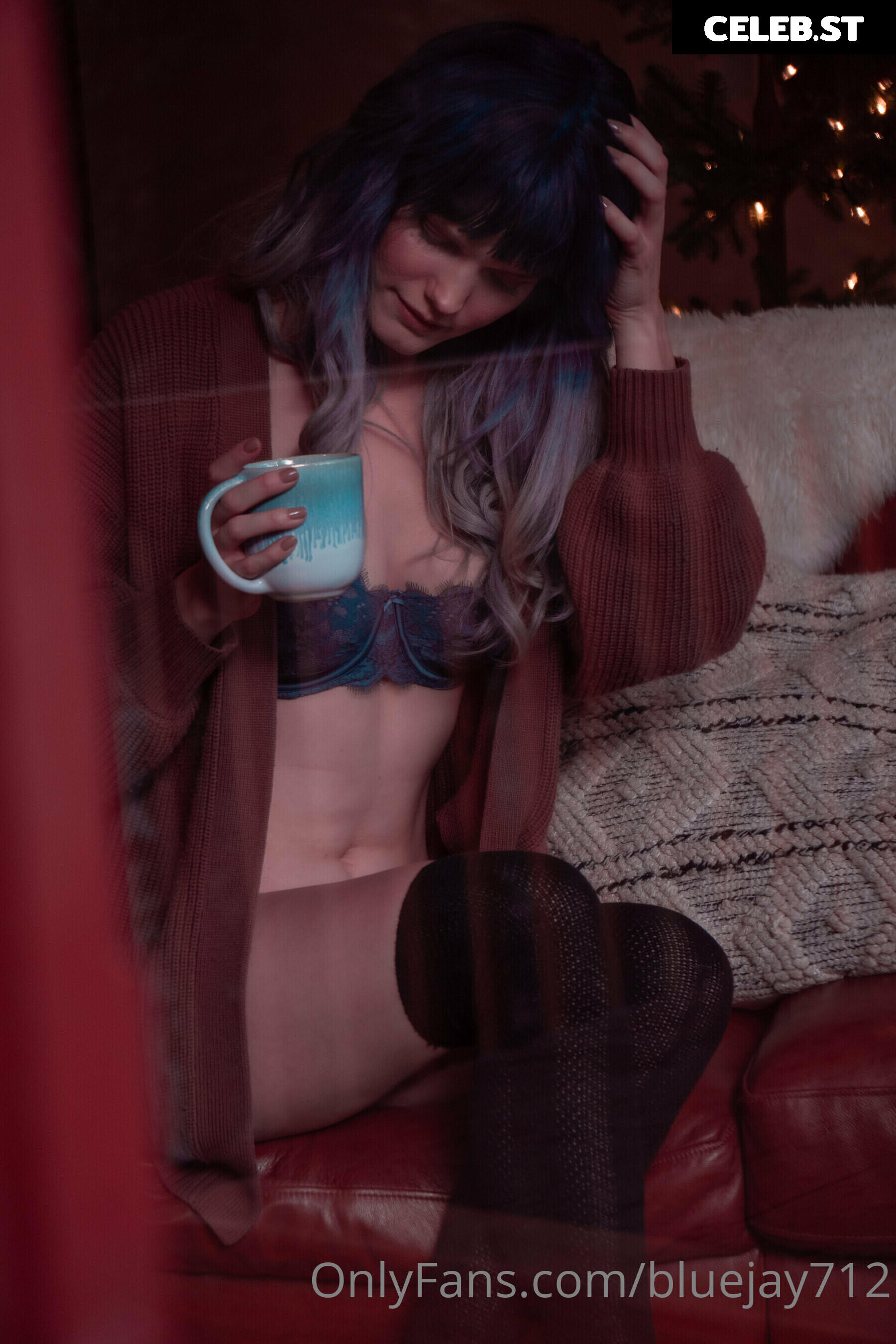 Bluejay Image 4312568