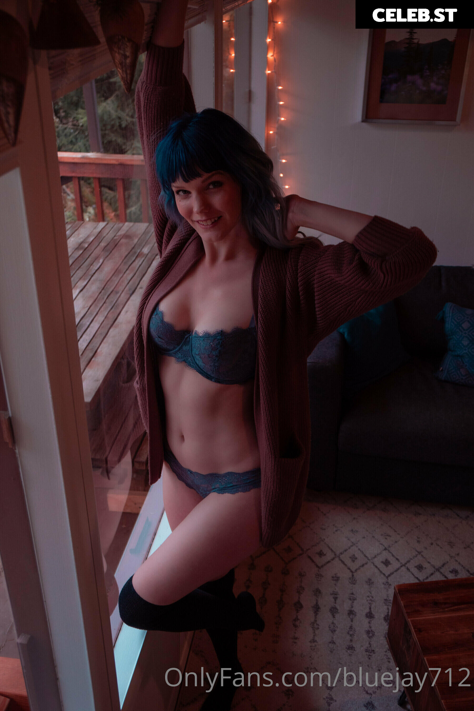 Bluejay Image 4312520