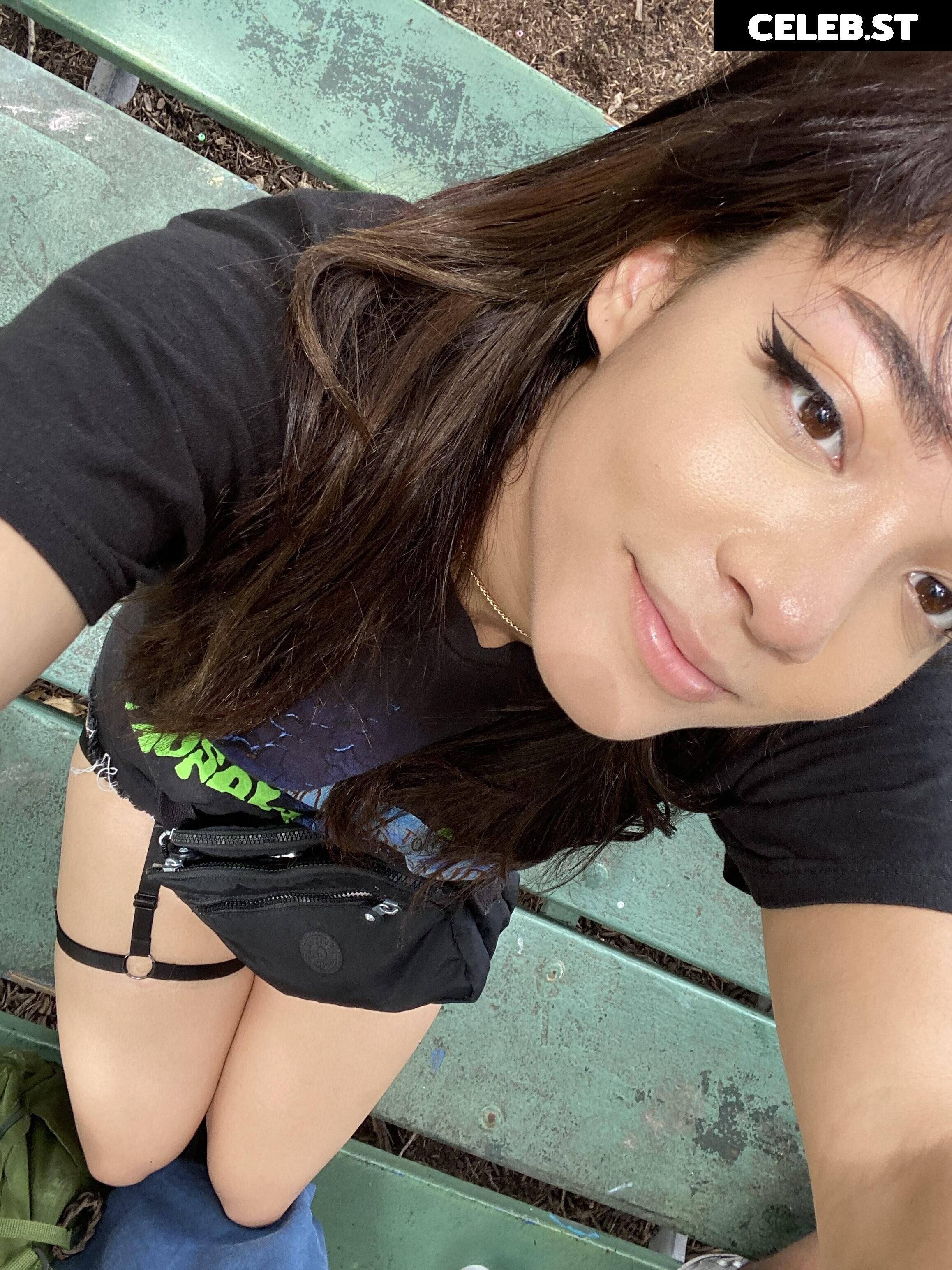 Cinnabrit Image 4318376