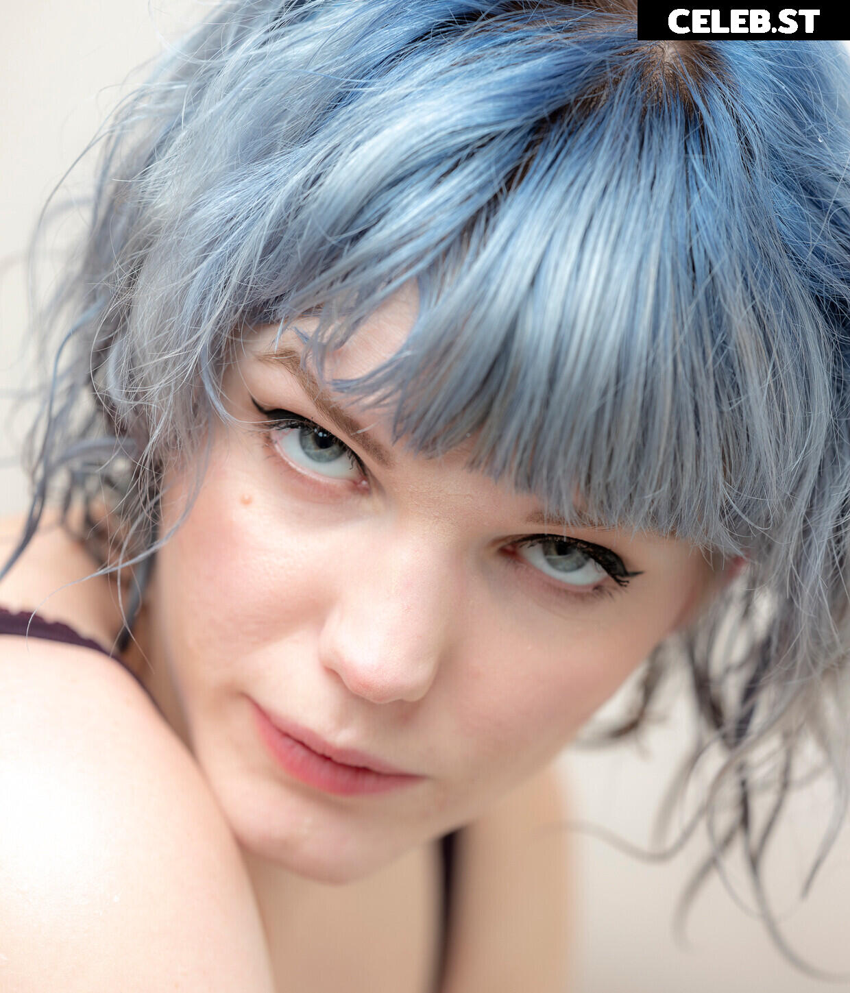 Bluejay Image 4307783