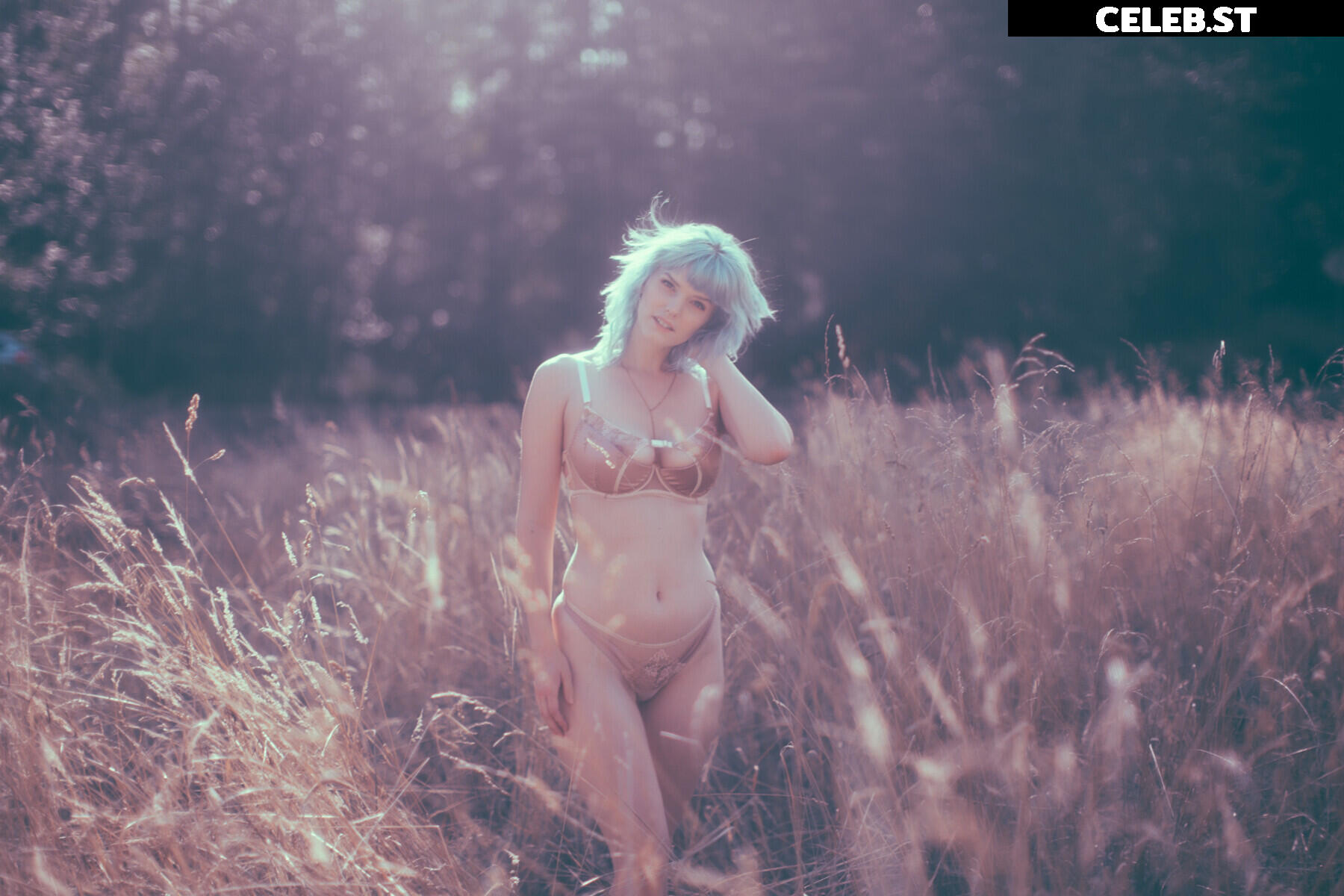Bluejay Image 4301656