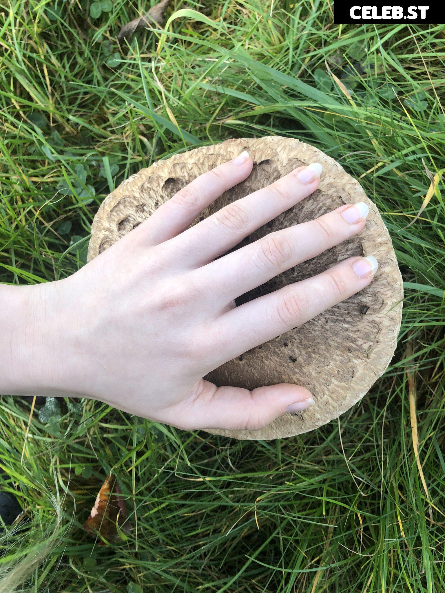 inislein Image 4301376