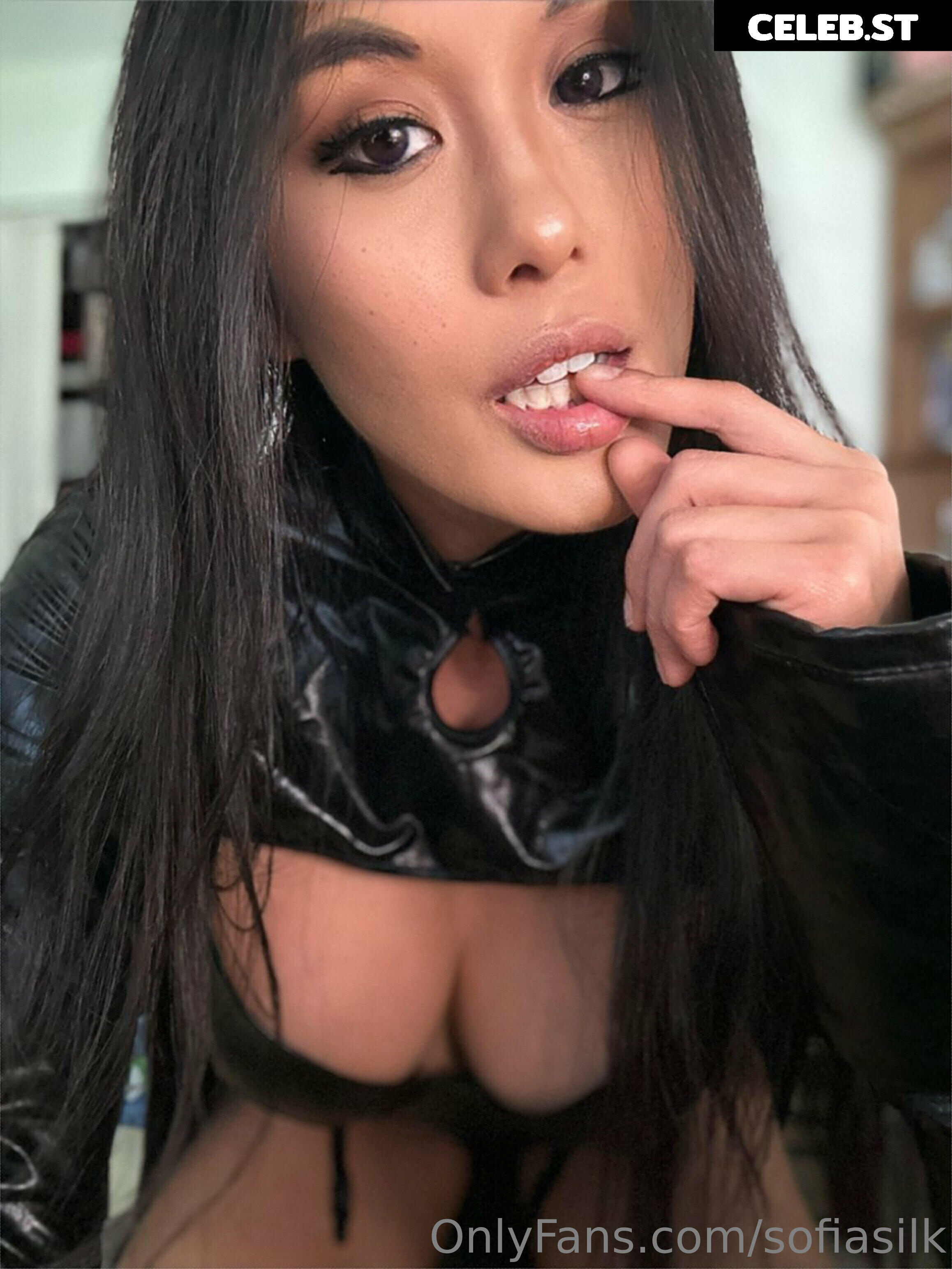 Sofia Silk Image 4894860