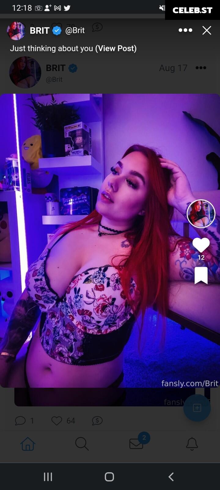 Brit | brriiit | britontwitch Image 4894794