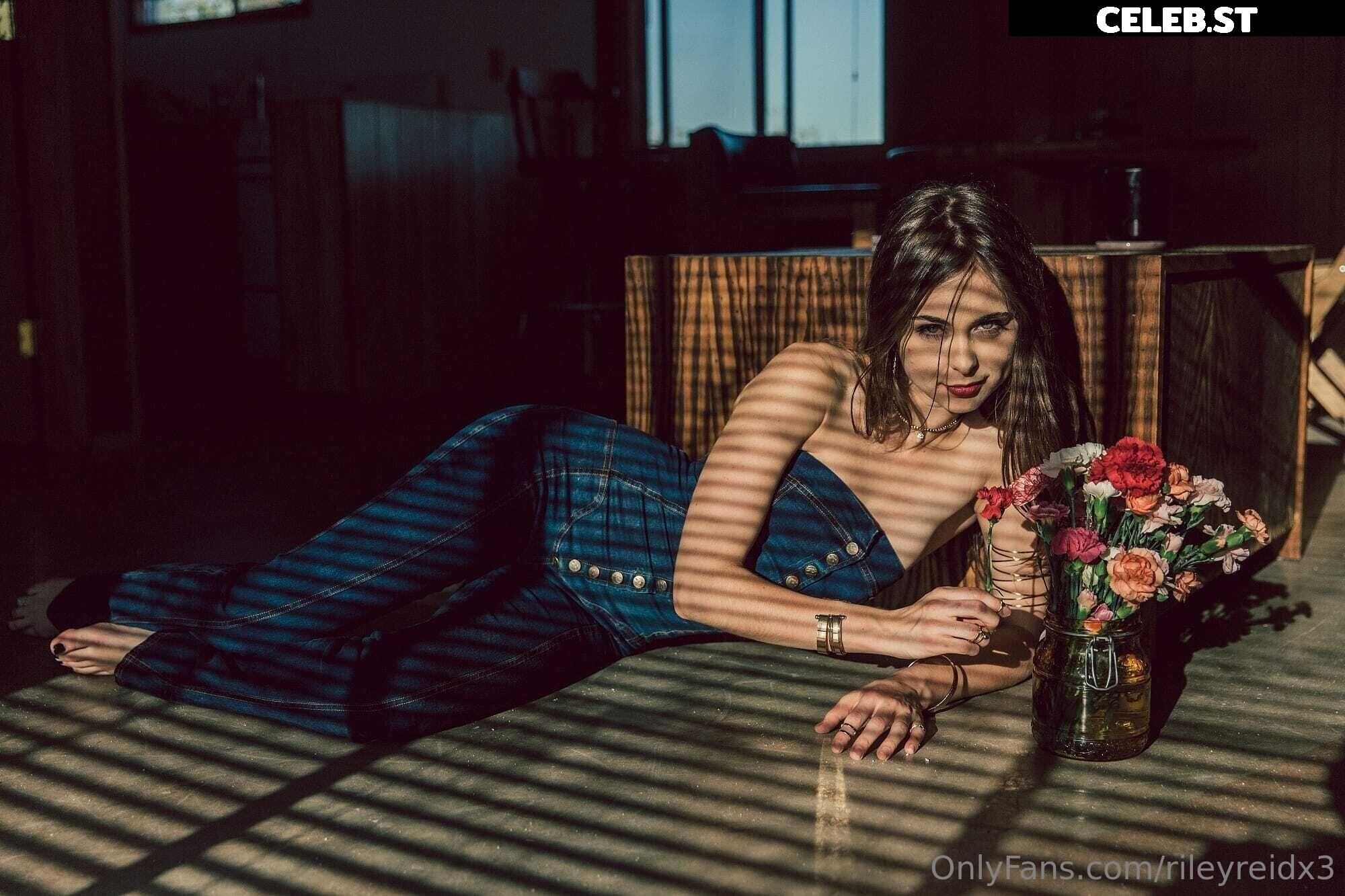 Riley Reid Image 4860908