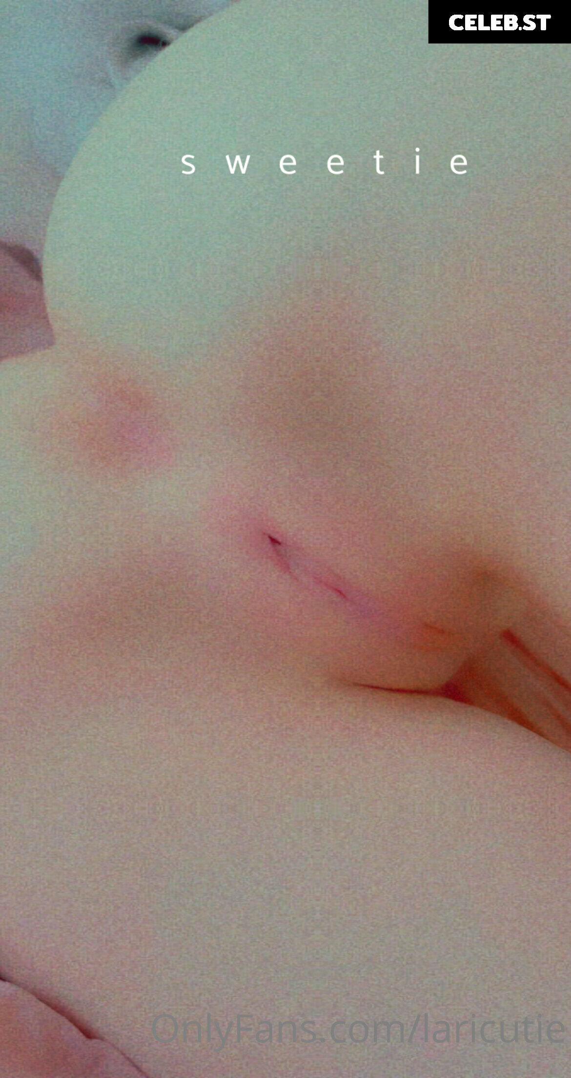 Laricutie Image 485040