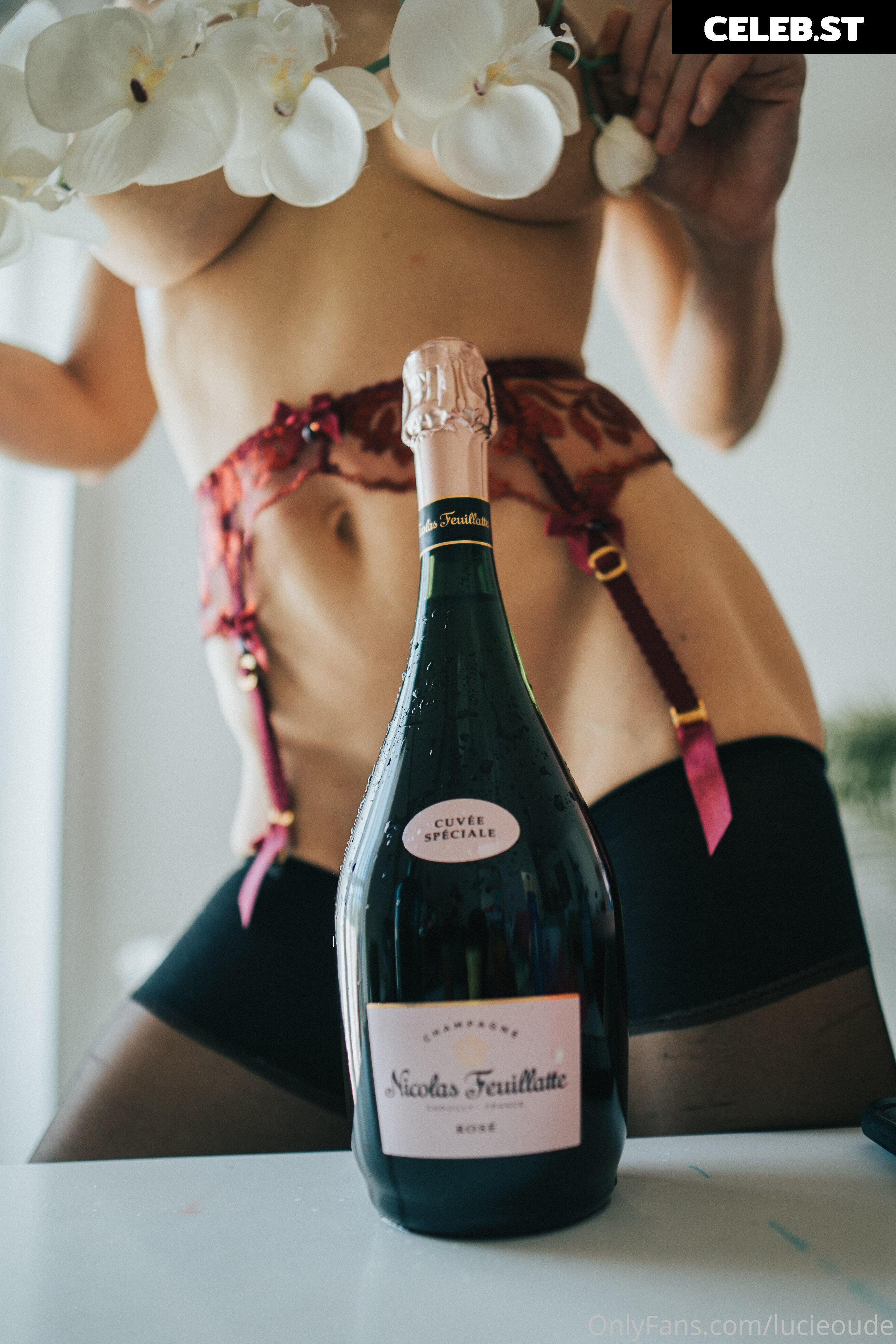 Lucieoude Image 483588