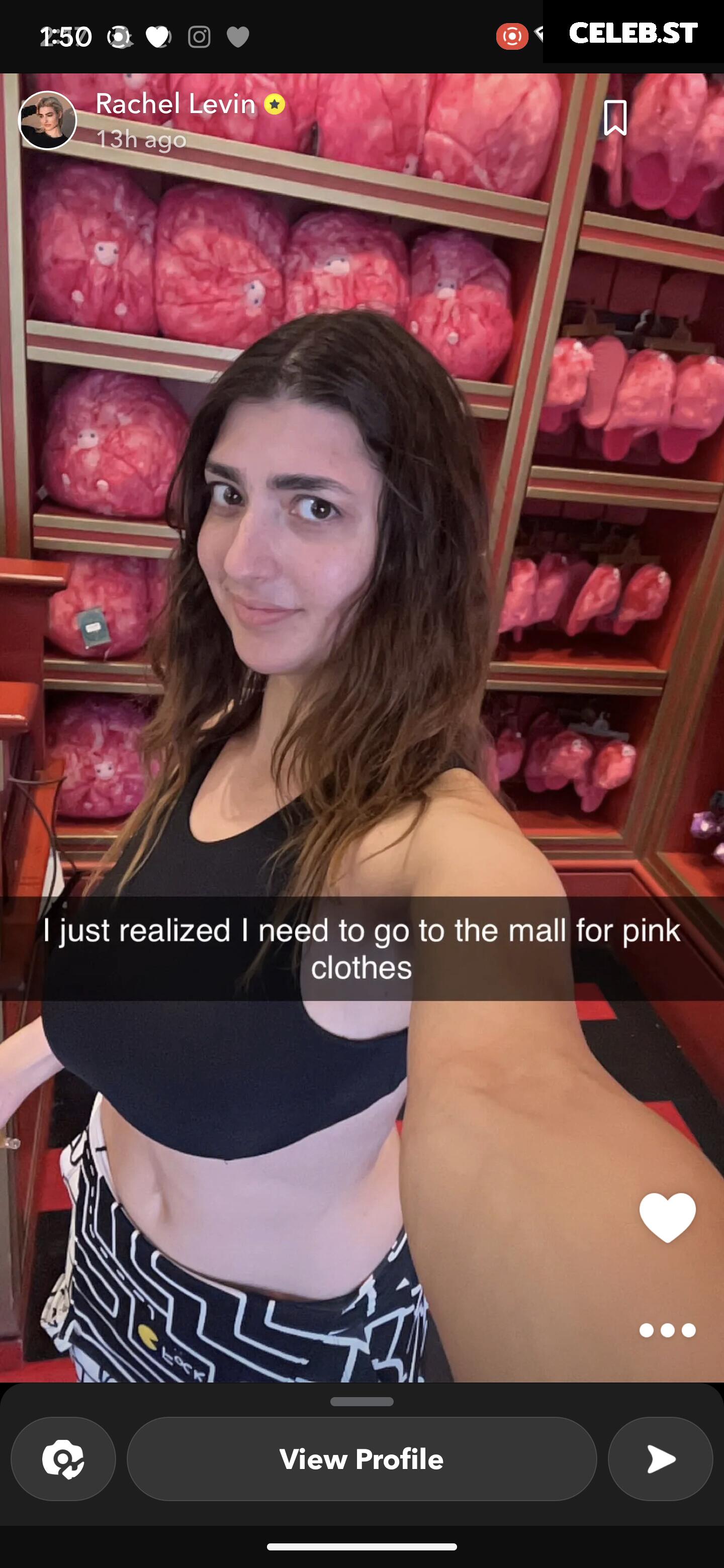 Rachel Levin / RclBeauty101 Image 4831267