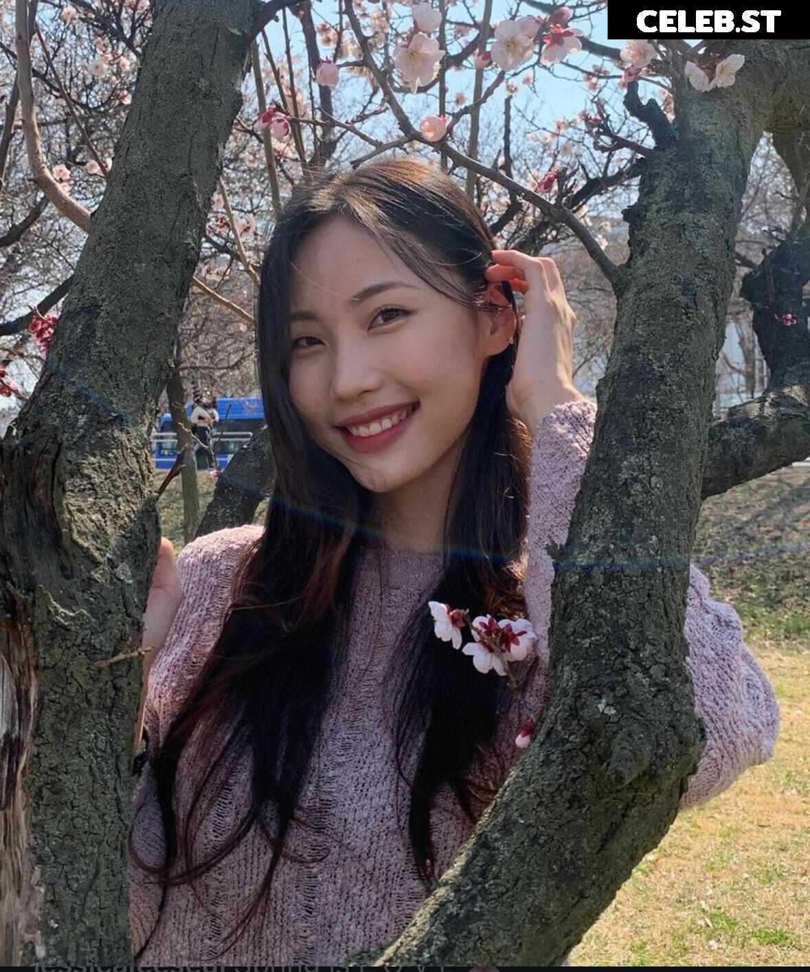 Jessica Lee Seul Image 4817160