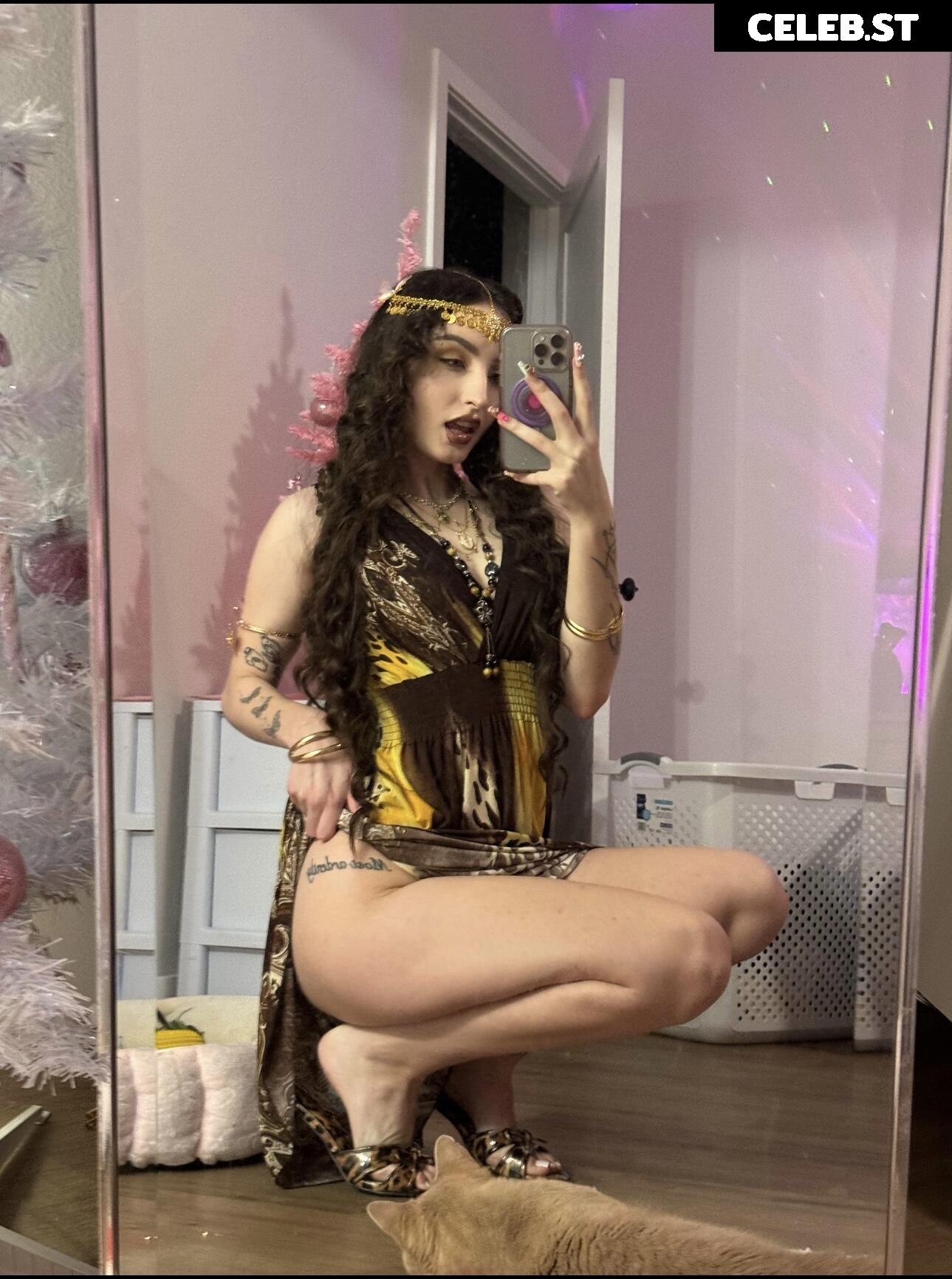 beebee Image 4995497