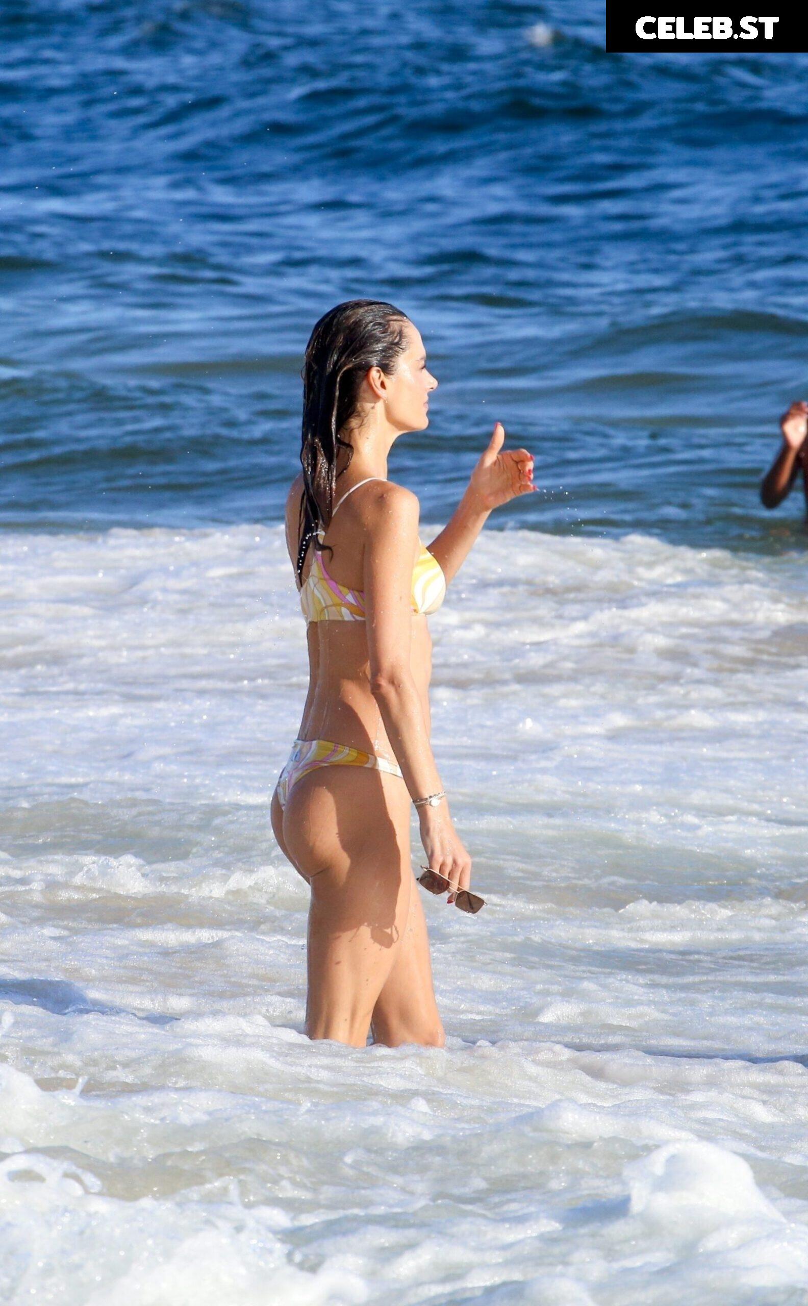 Alessandra Ambrosio Image 4996336