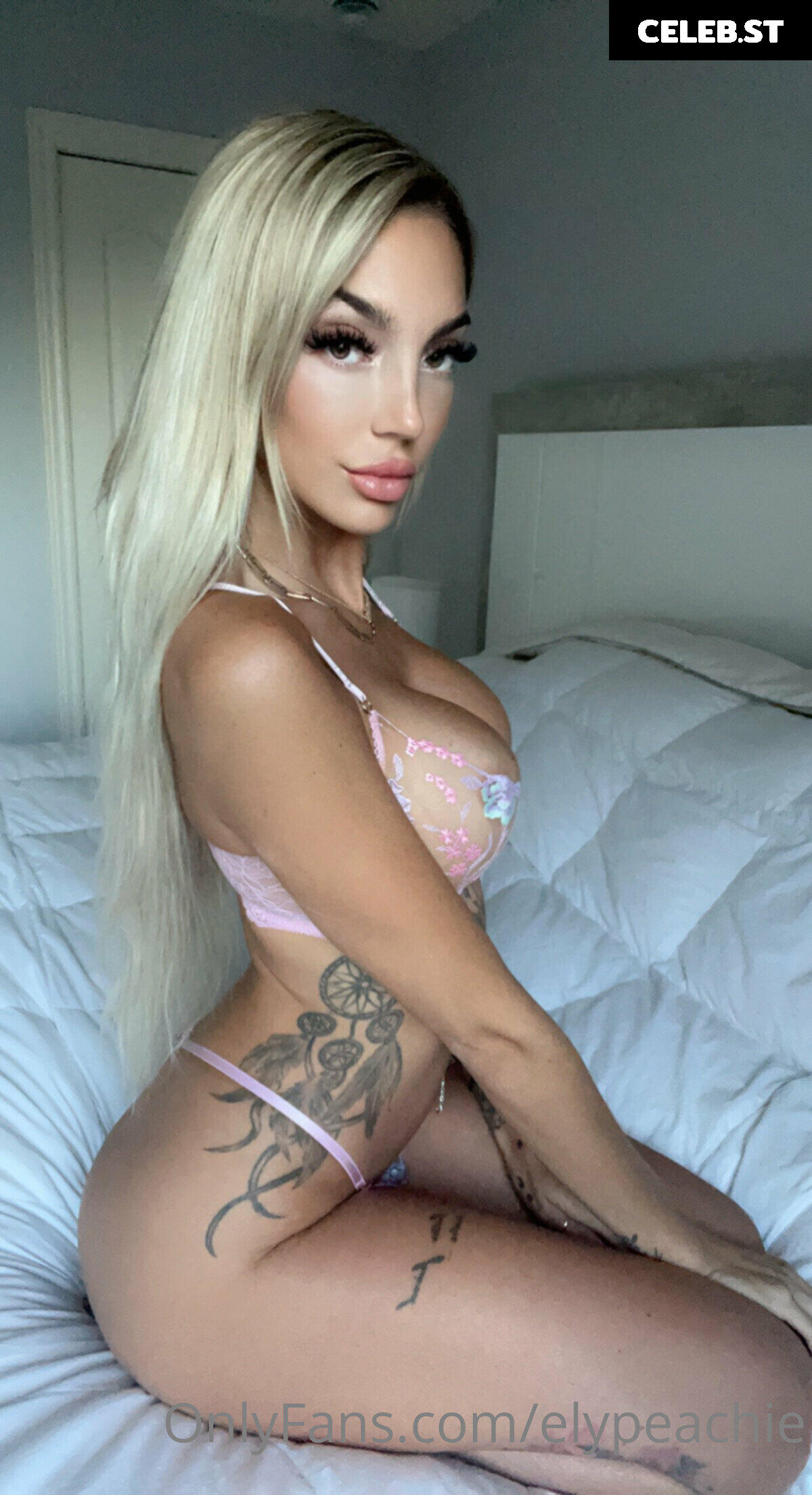 Peachie Image 499711