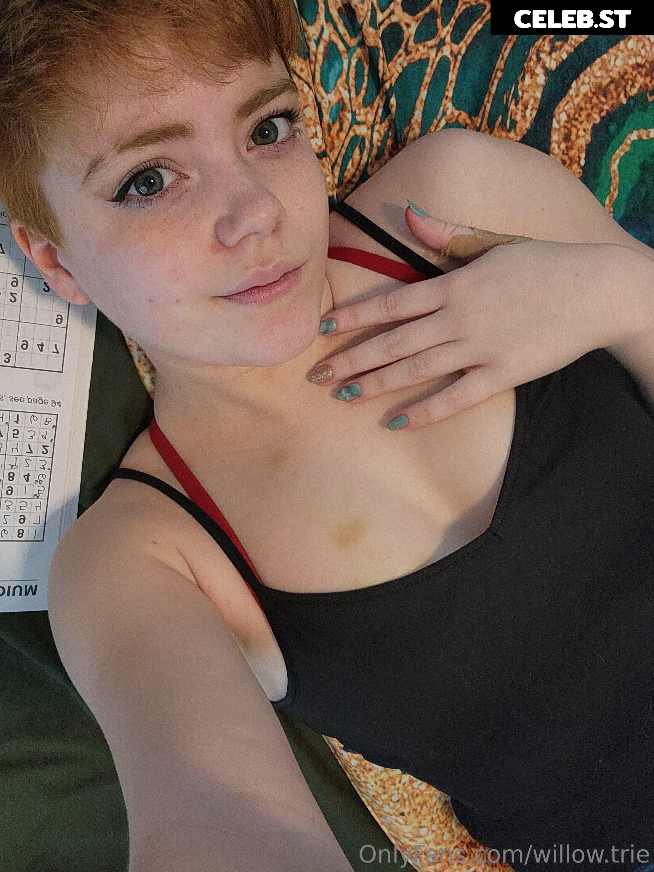 Willow.Trie Image 4922098