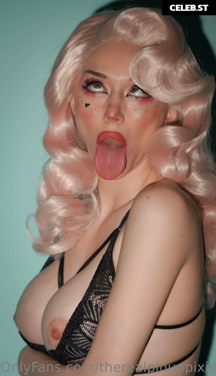 PinupPixie / Cyberpunk Pixie Image 4915917