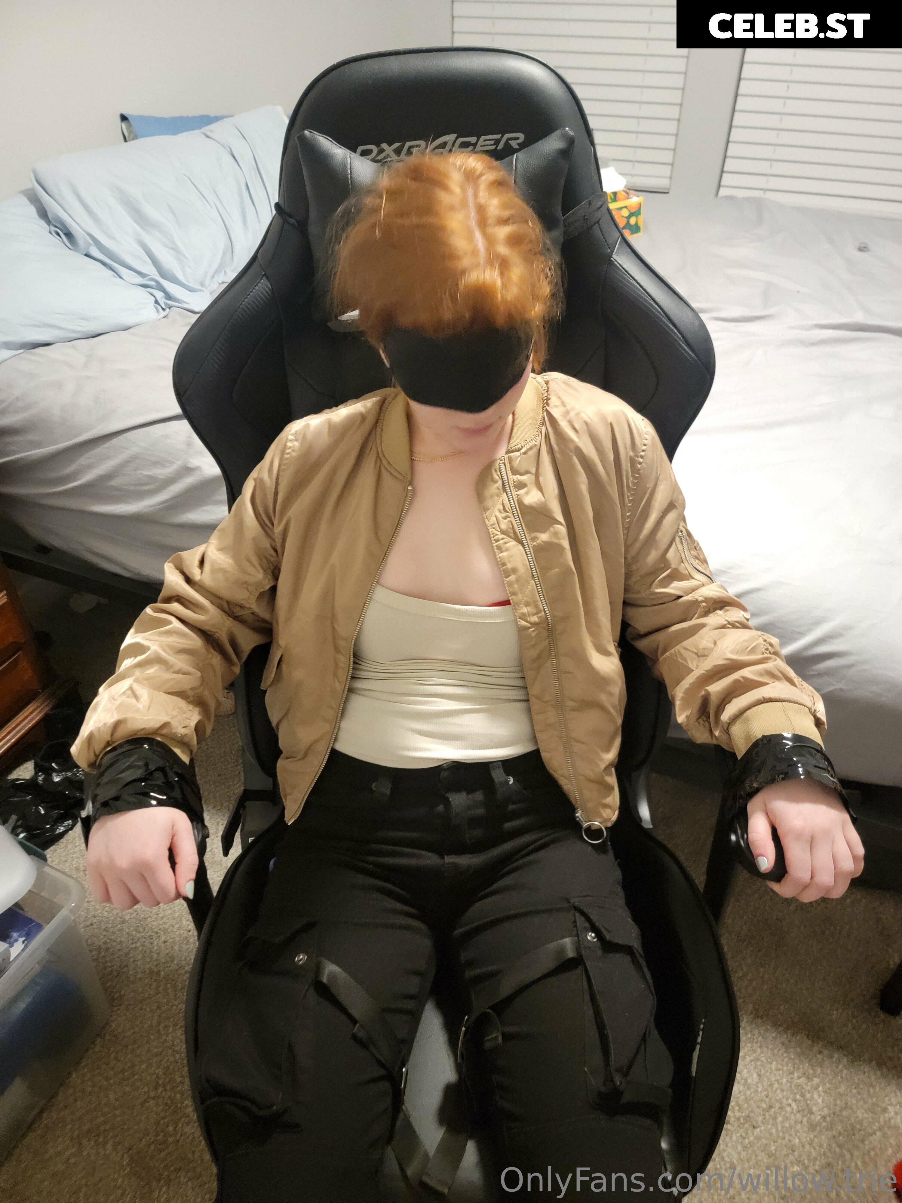 Willow.Trie Image 4912711